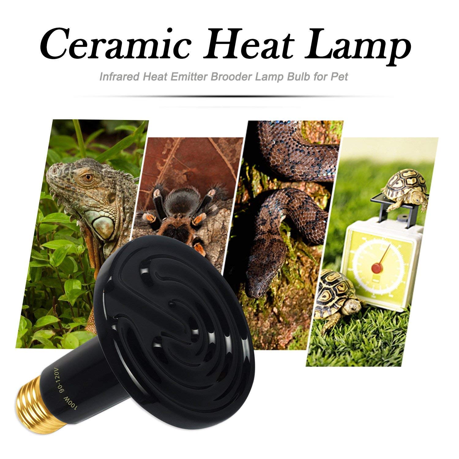 Omaykey 2-Pack 100W Ceramic Heat Lamp With 1-Pcs Digital-Thermometer, Infrared Heat Emitter Bulbs For Reptiles, Amphibians, Chicken Brooder Coop Lizard Turtle Snake, No Light No Harm