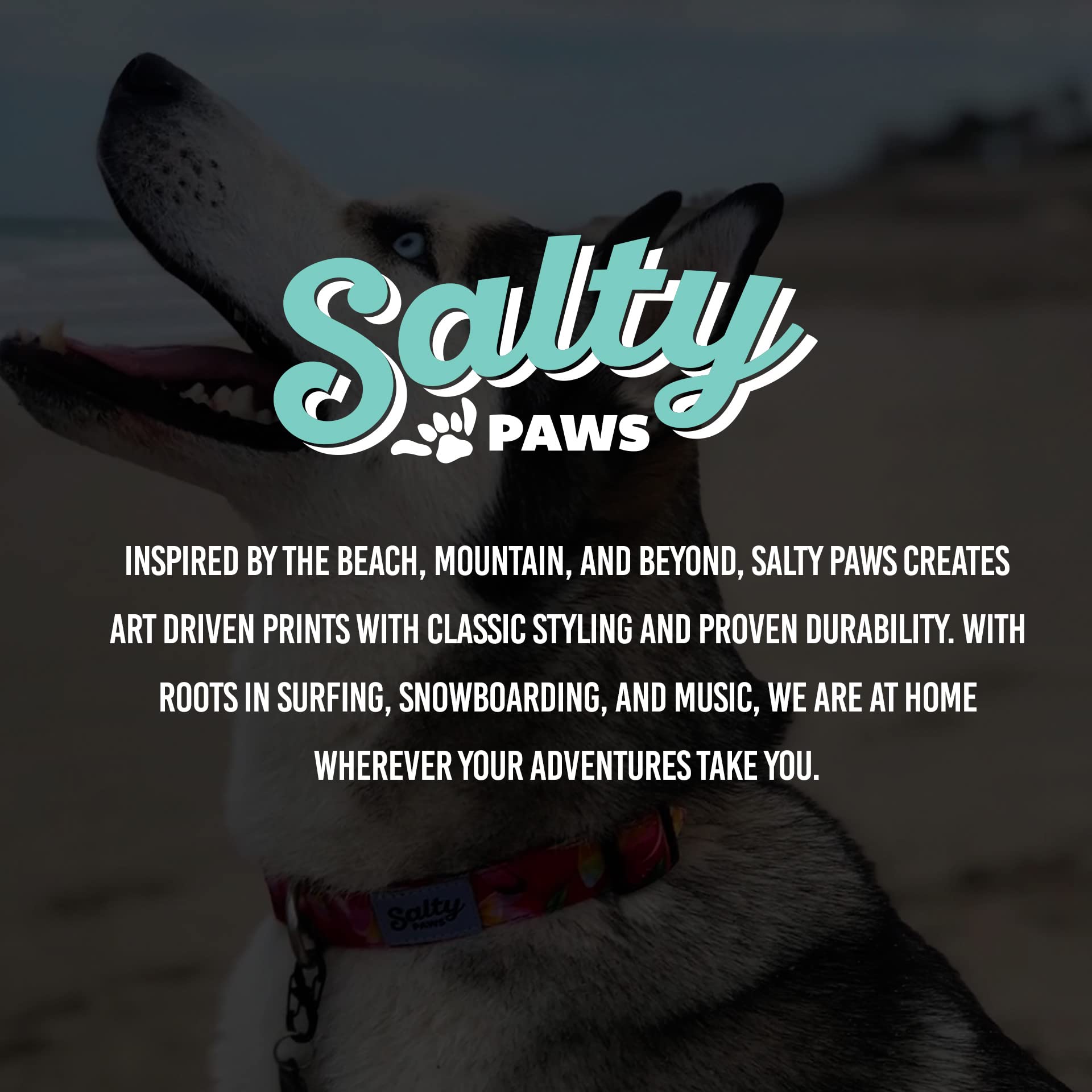 Salty Paws Floral Print Dog Leash Heavy Duty Padded Handle For Small, Medium, Large Dogs Matching (Small 6' For Dogs Up To 25Lbs