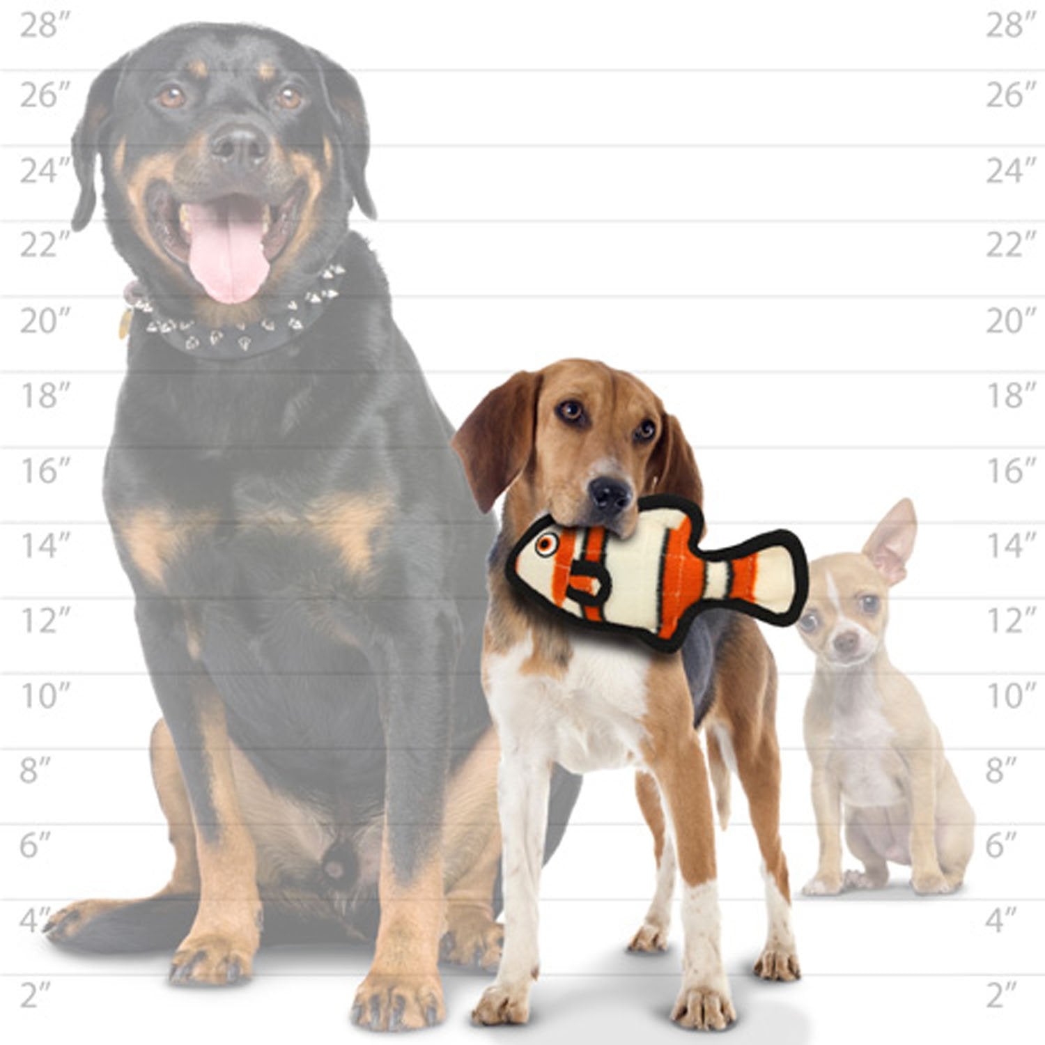 Tuffy - World'S Tuffest Soft Dog Toy - Ocean Junior Fish Orange- Squeakers - Multiple Layers. Made Durable, Strong & Tough. Interactive Play (Tug, Toss & Fetch).Machine Washable & Floats