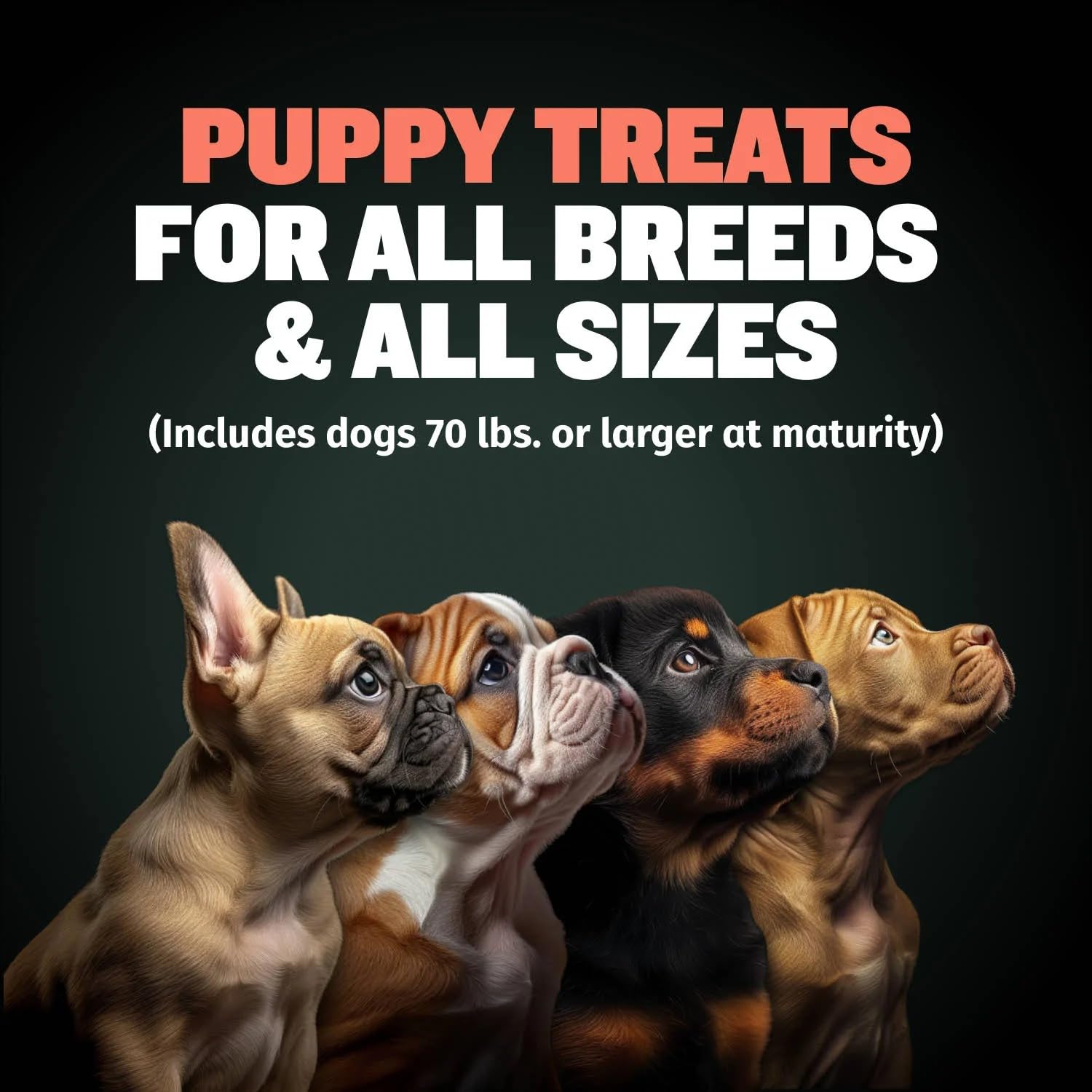 Bully Max Puppy Training Treats - Soft Chews Dog Food Supplements & Vitamins for Brain, Skin & Coat Health - Glucosamine & Chond