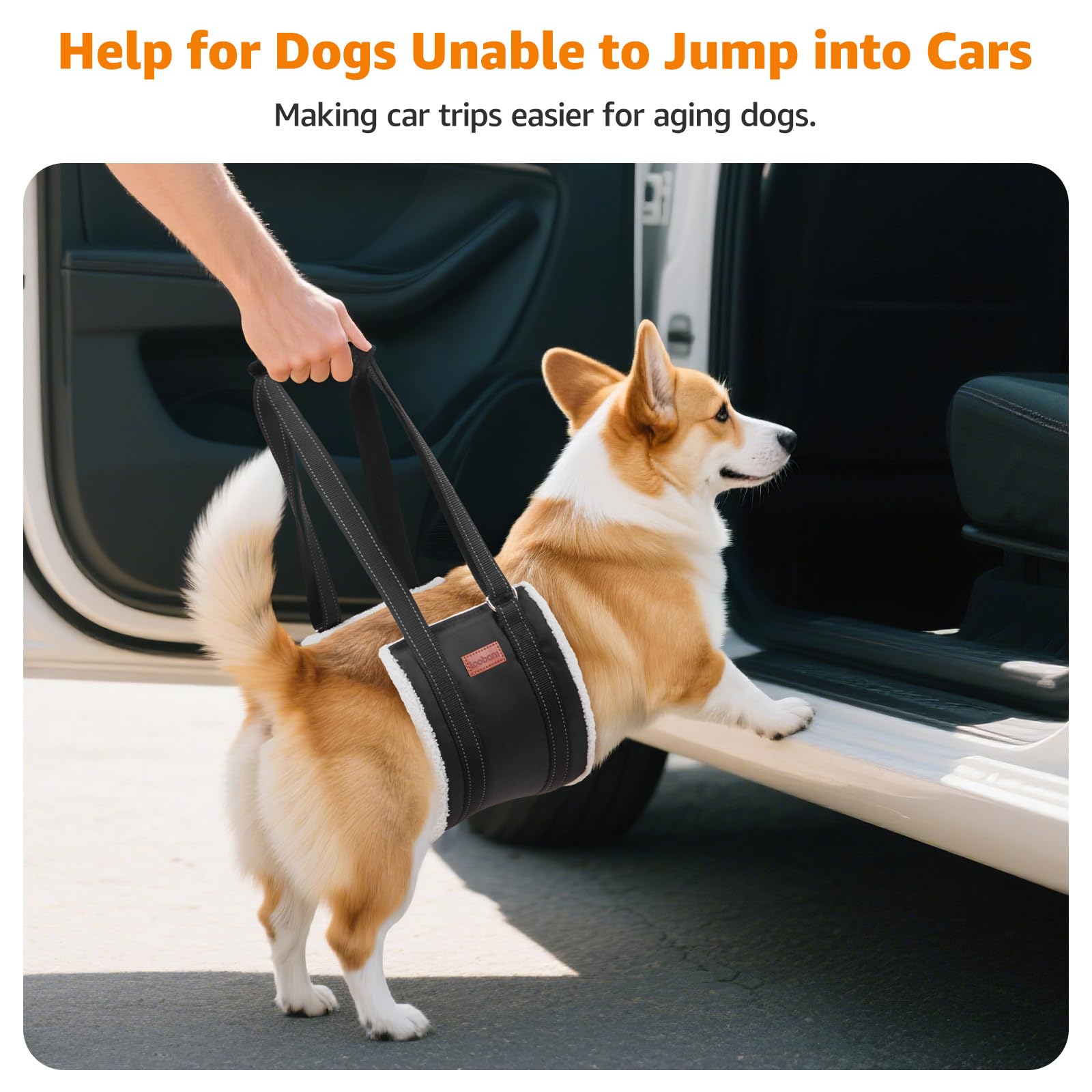 LOOBANI Portable Dog Sling for Back Legs, Hip Support Harness to Help Lift Dogs Rear for Canine Aid and Old K9 Cruciate Ligament