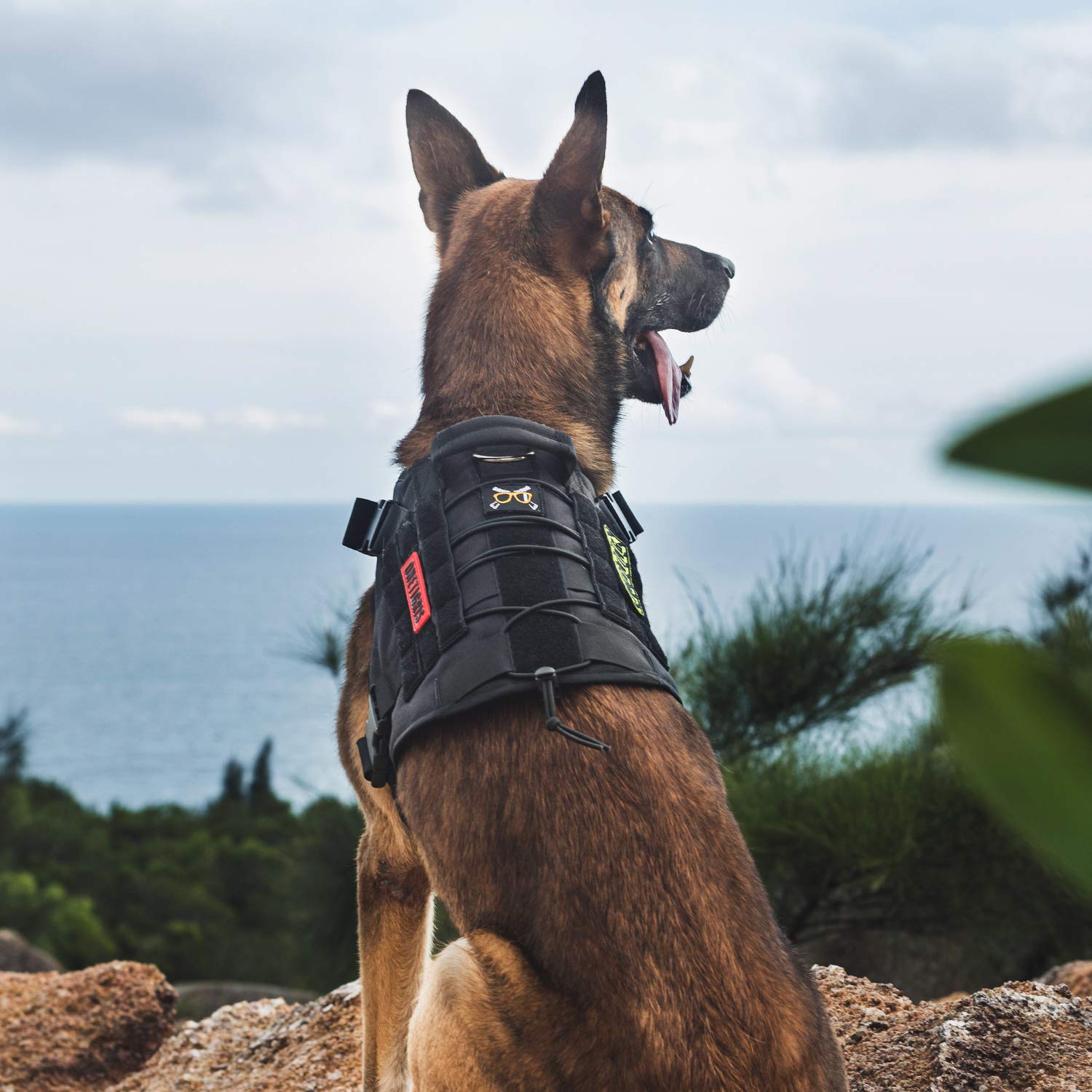 OneTigris Tactical Dog Harness Vest with Handle, Dog Harness for Large Medium Dogs,No-Pull Service Dog Vest with Hook & Loop Pan