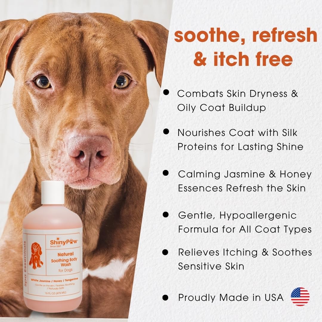 Jasmine & Honey Spa Body Wash for Dogs by Shiny Paw 16 oz | Dog Itchy Skin Relief & Aging Coat | Hypoallergenic Dog Shampoo for