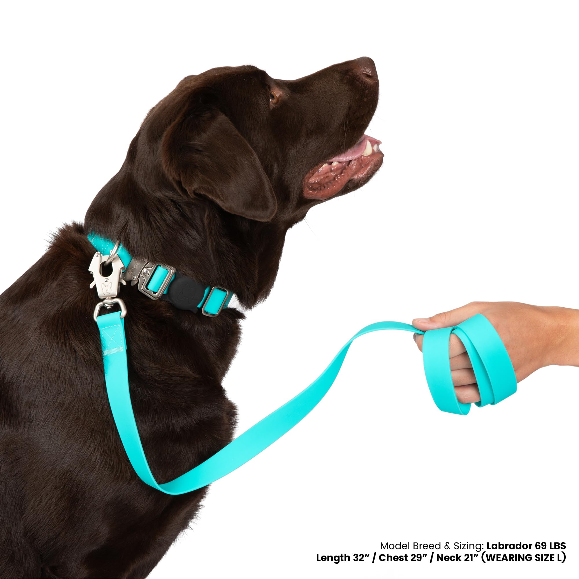 Nandog The Signature Collection Waterproof Poly-Flex Sport Dog Collar In Medium, Aqua Blue - Durable & Adjustable - Secure Doubl