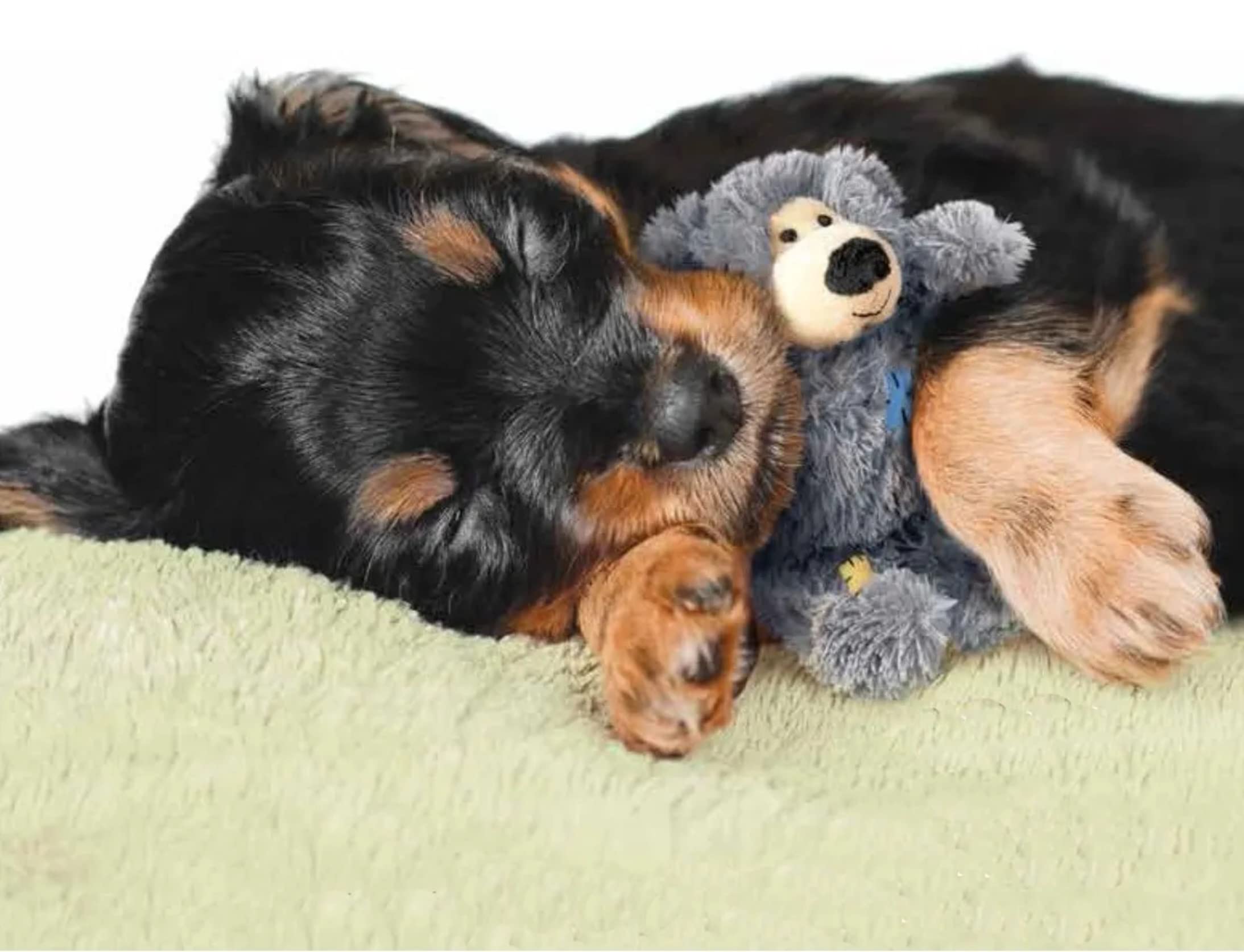 KONG Wild Knots Bears Durable Dog Toys Size:Small/Med Pack of 2 Small Breeds
