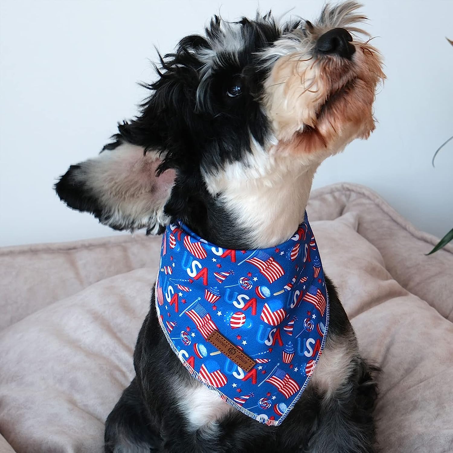 Lionet Paws 4Th Of July Dog Bandanas 2 Pack, American Washable Triangle Bibs Scarf Kerchief, Adjustable Holiday Scarves For Medi