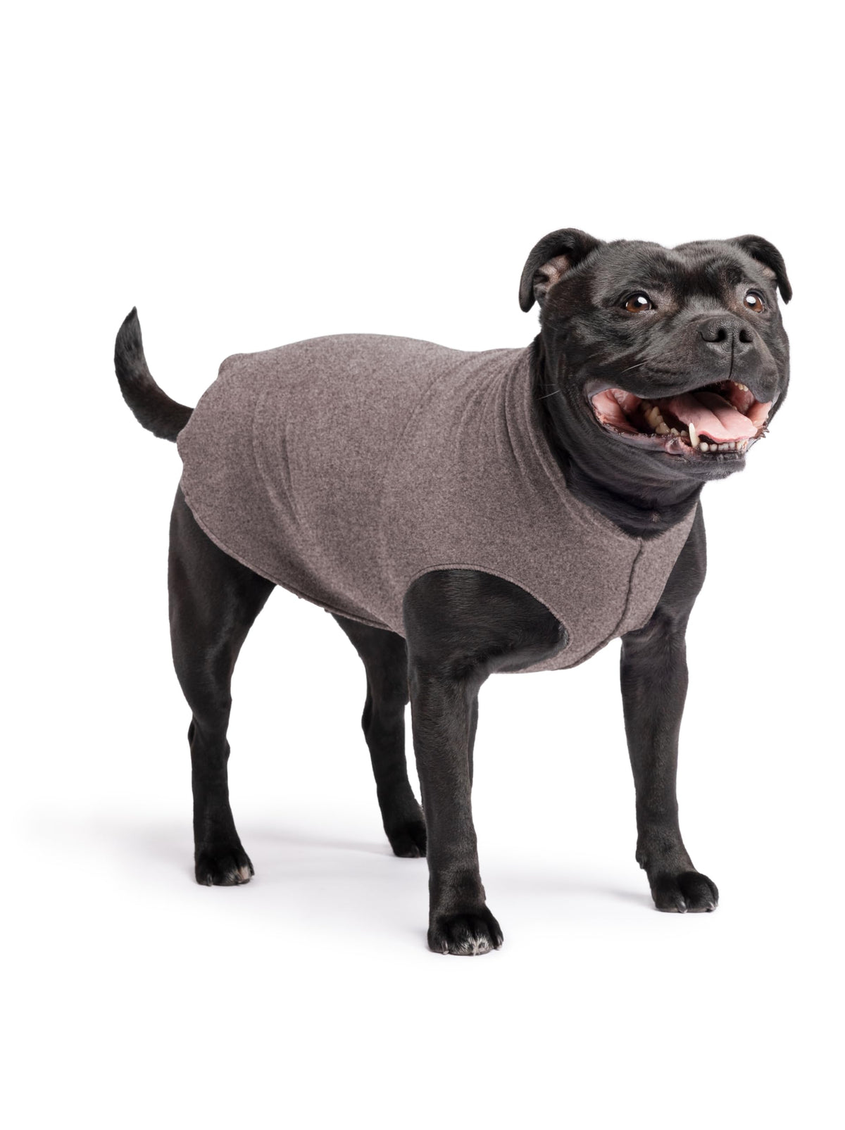 Gold Paw Stretch Fleece Dog Coat, Stretchy Pet Sweater, Machine Washable Pullover For Winter And Fall, Charcoal, 16
