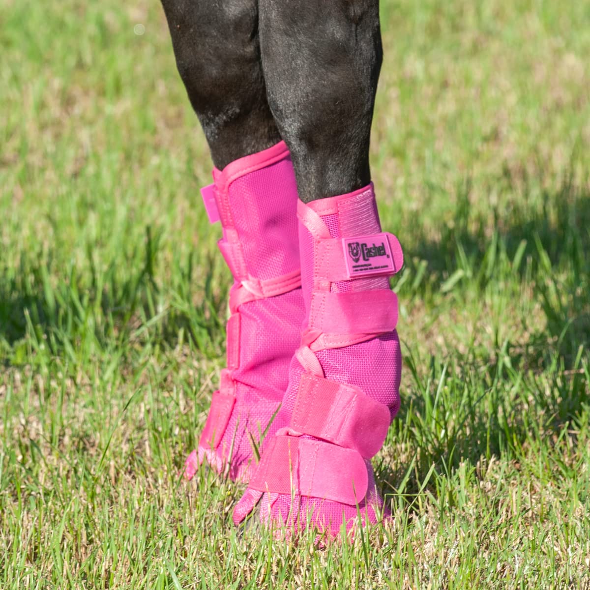 Cashel Crusader Horse Fly Leg Guards Pink Horse