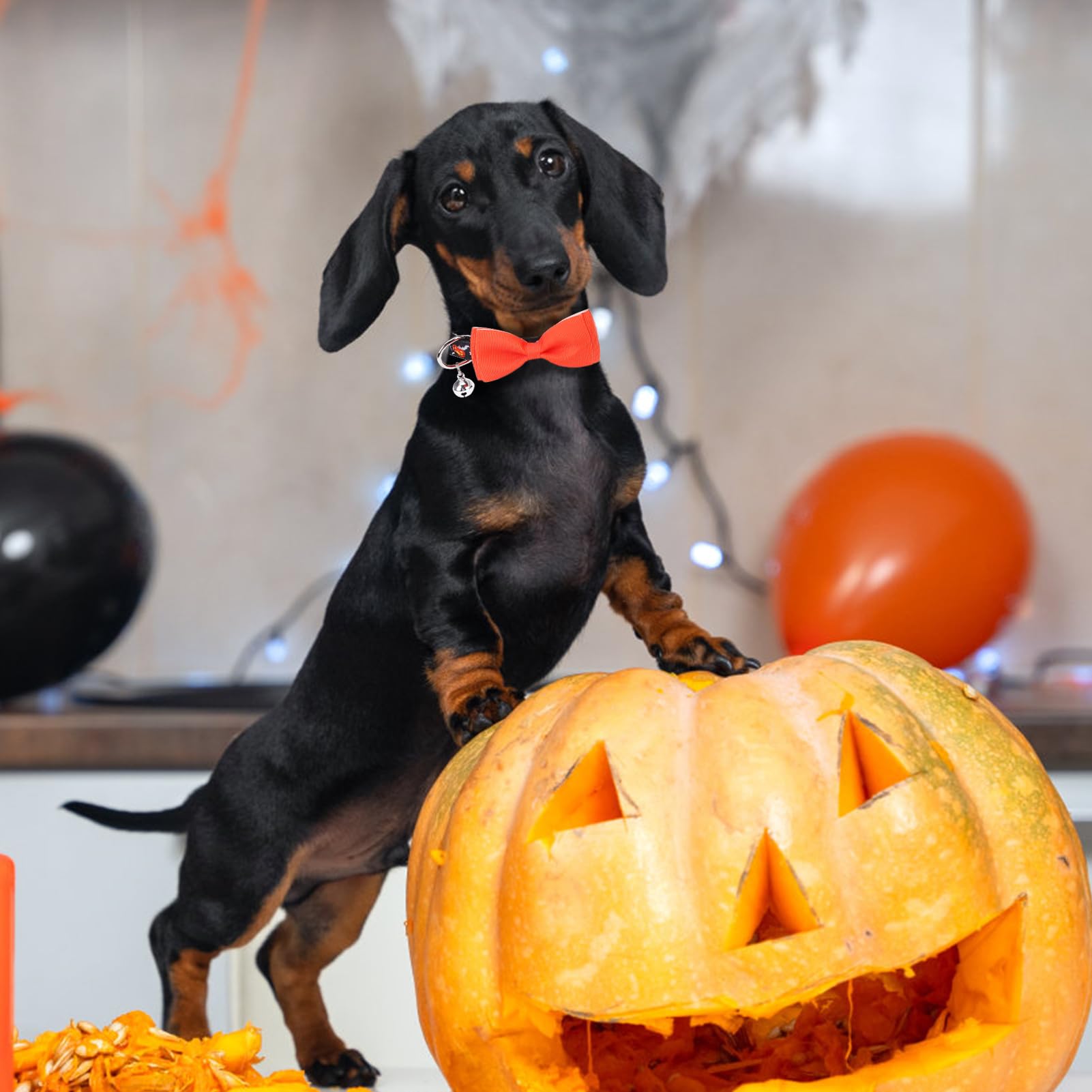Pupteck Halloween Bowtie Dog Collar With Bell 2 Packs, Adjustable Breakaway Puppy Collar, Sweet Gift For Small Dogs Cats Pets, 11.8-15.7 In