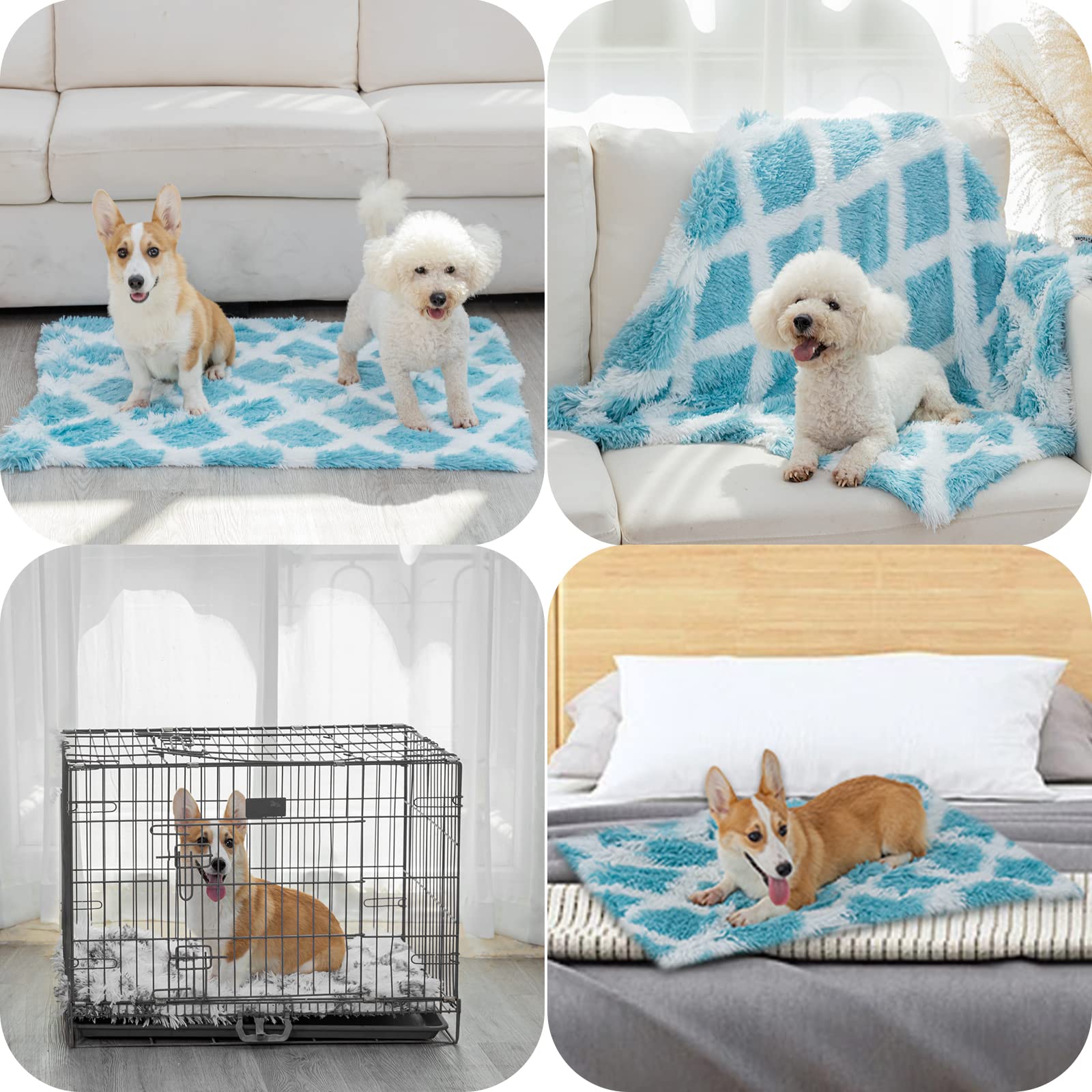 Pjyucien Fluffy Fleece Calming Pet Throw Blanket, Super Soft And Warm For Indoor Cats And Dogs, Large 30 * 40', Machine Washable, Blue Diamond Pattern, White Puppy Blanket