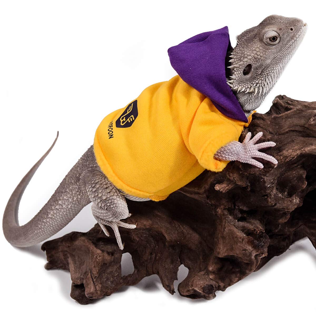 Watfoon Lizard Clothes Bearded Dragon Sweater Winter Hoodies Warm Coat Soft Touching For Leopard Reptile Gecko Anole Amphibians