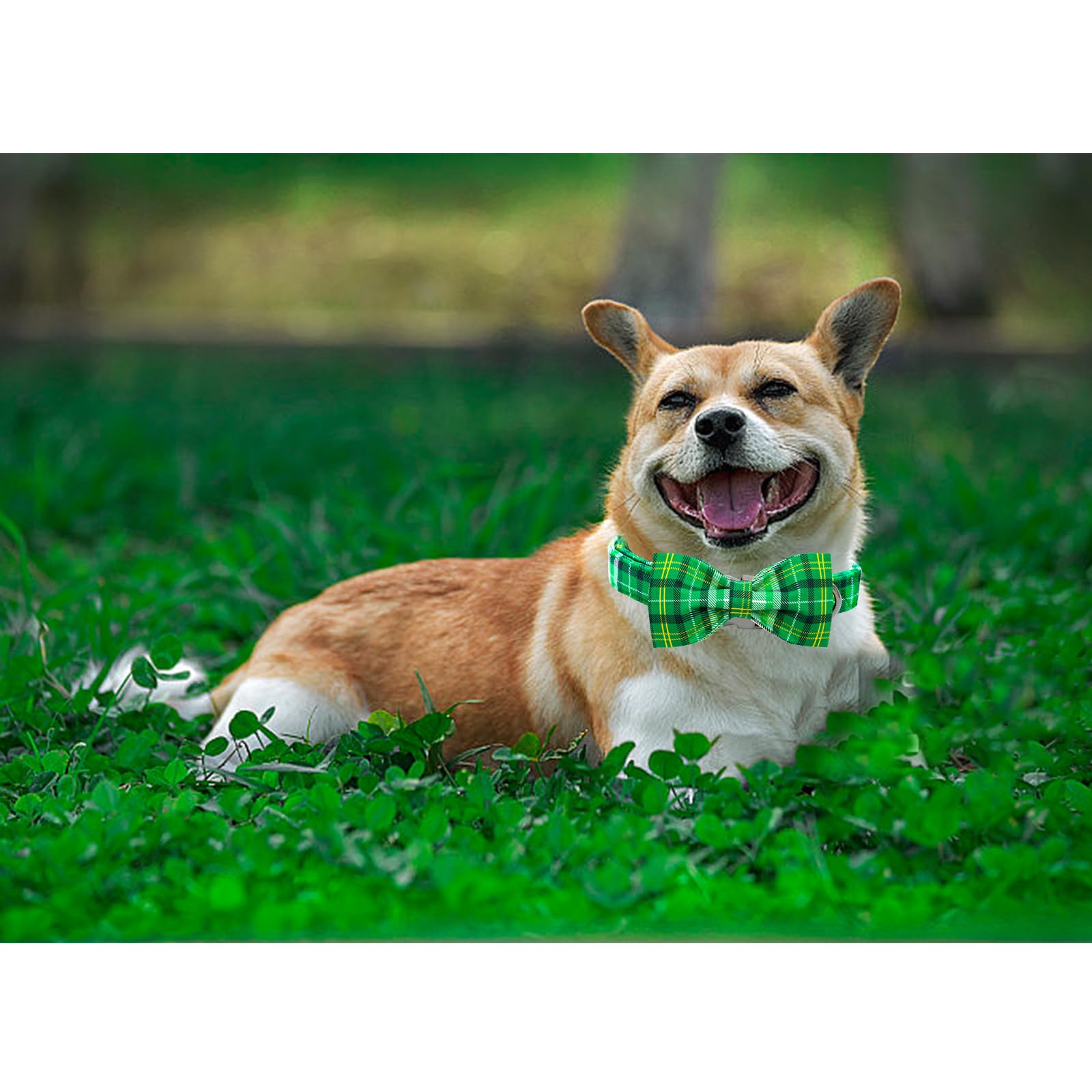 Lionheart Glory St. Patrick'S Day Dog Collar - Adjustable Green Plaid With Bowtie For Small Dogs