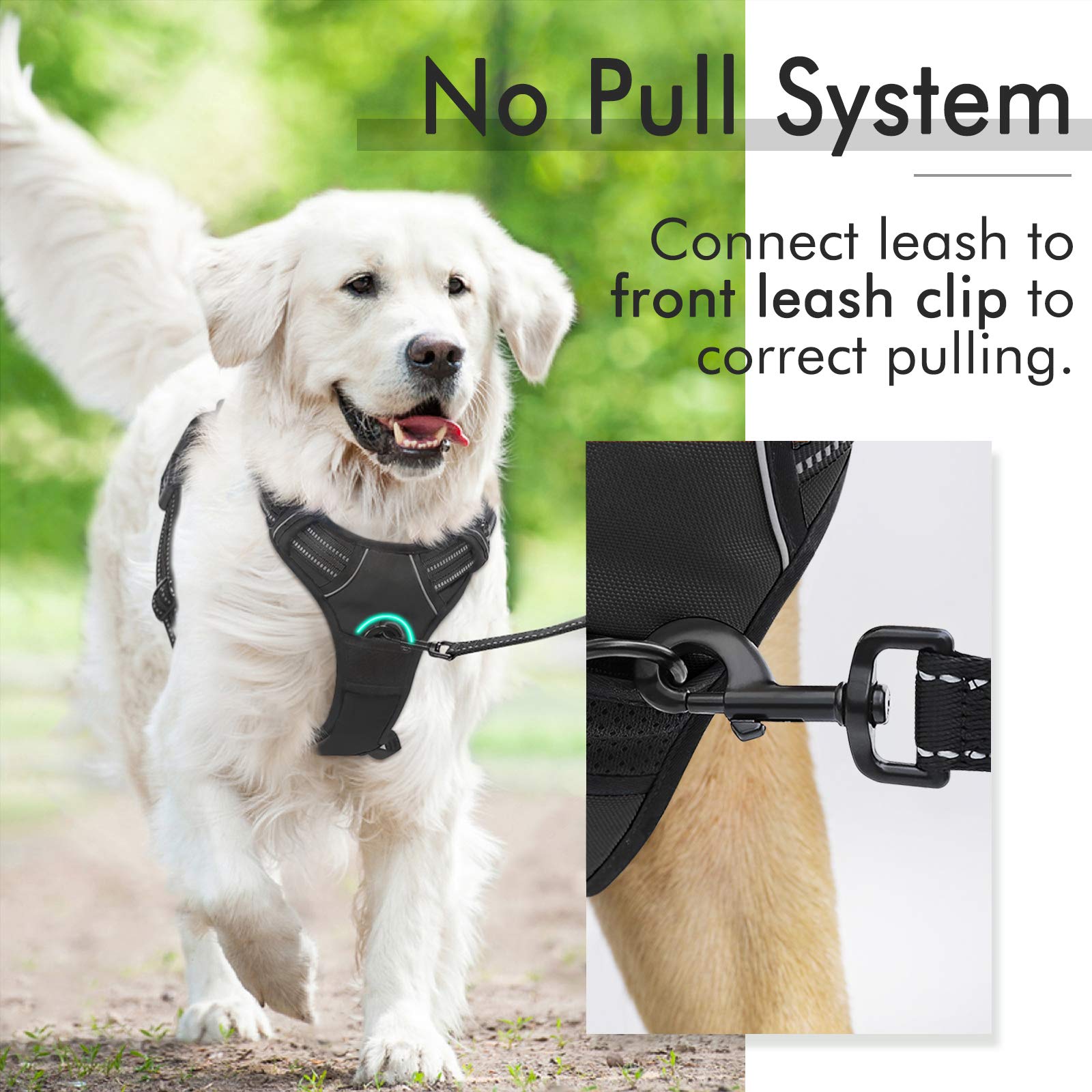 Rabbitgoo Dog Harness No Pull With 2 Leash Clips, Adjustable Soft Padded, Reflective Oxford No Choke Pet Vest With Easy Control Handle For Large Dogs, Black, L