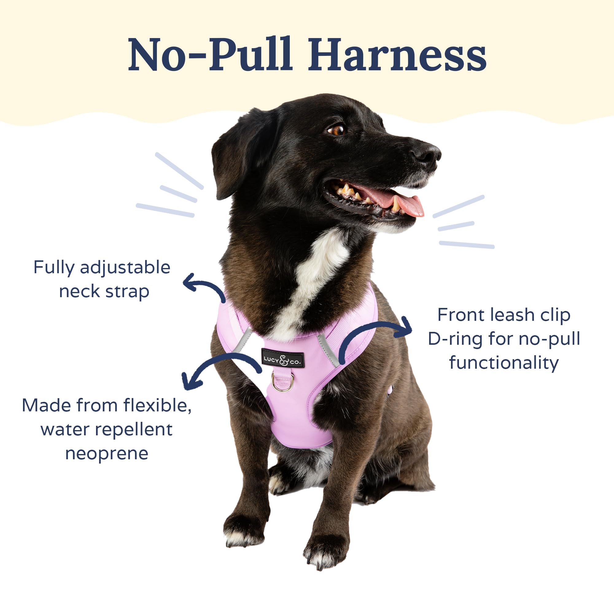 Lucy & Co. The Bouquet No-Pull Dog Harness - Size X-Small - Vest to Stop Pulling & Walk Easy - Comfortable Leash Training Produc