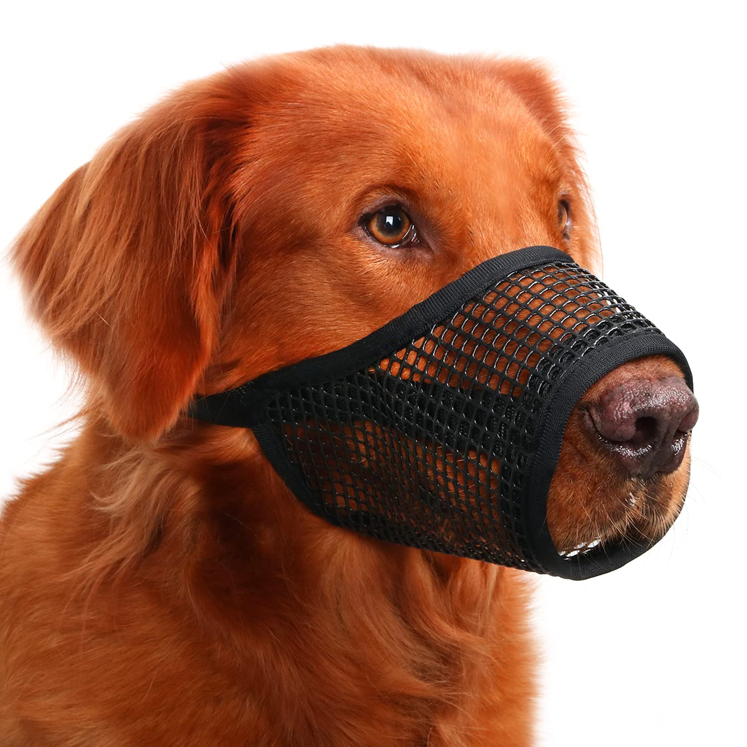 Mayerzon Dog Muzzle, Soft Mesh Muzzles For Small Medium Large Dogs Chihuahua Poodle Husky Labrador Retriever, Breathable Dog Mouth Guard For Biting Chewing Grooming, Allow Panting Drinking(Xl, Black)