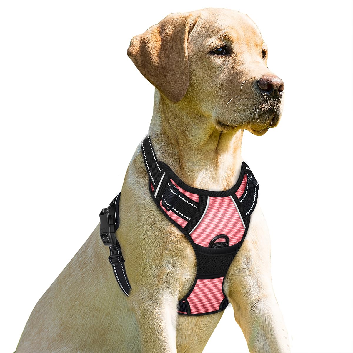 BARKBAY No Pull Dog Harness Front Clip Heavy Duty Reflective Easy Control Handle for Large Dog Walking(Light Pink,XS)