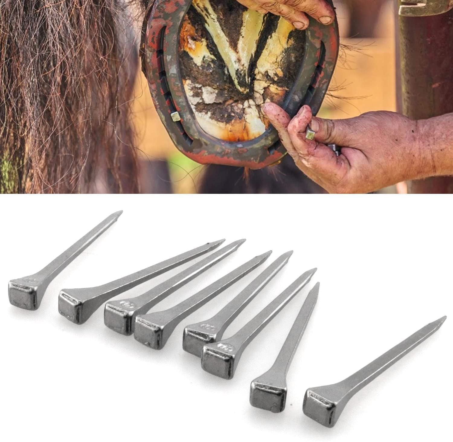 Jjhxsm 50Pcs Horseshoe Nail E5 51Mm Cold-Rolled Steel Horseshoe Nails For Horse Raining Harness Repair