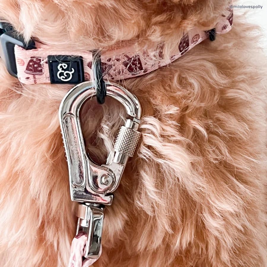 Lucy & Co. Dog Collar - Durable Lightweight Designer Collar For Pets - Adjustable Metal Safety Buckel. (Iced Coffee Szn Collar).