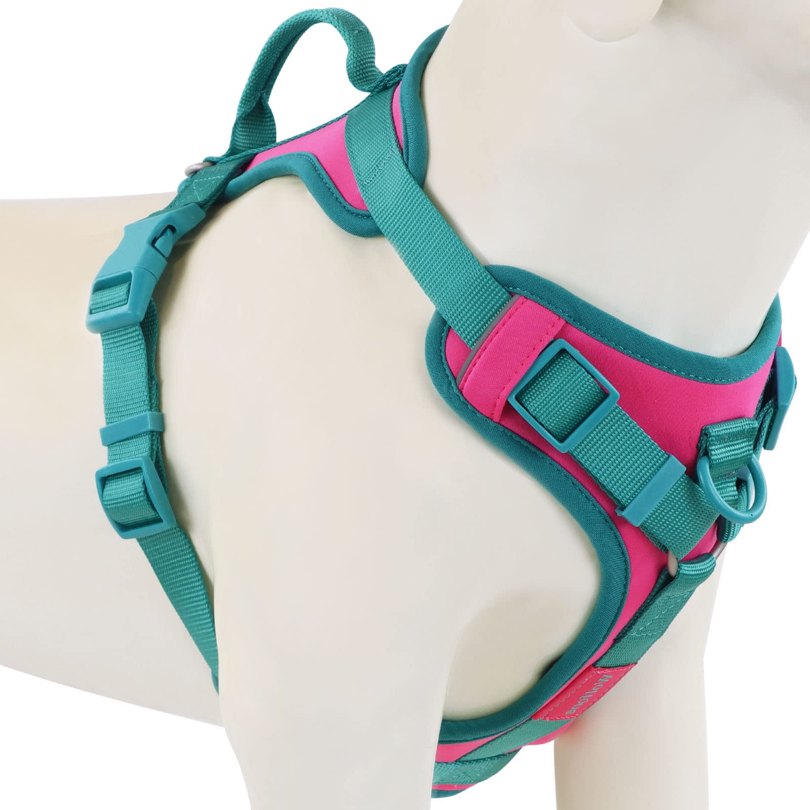 Wolfone No Pull Dog Harness Adjustable Soft Padded Pet Vest With Control Handle Adorable Daily Harness For Dogs(Pink Peacock M)