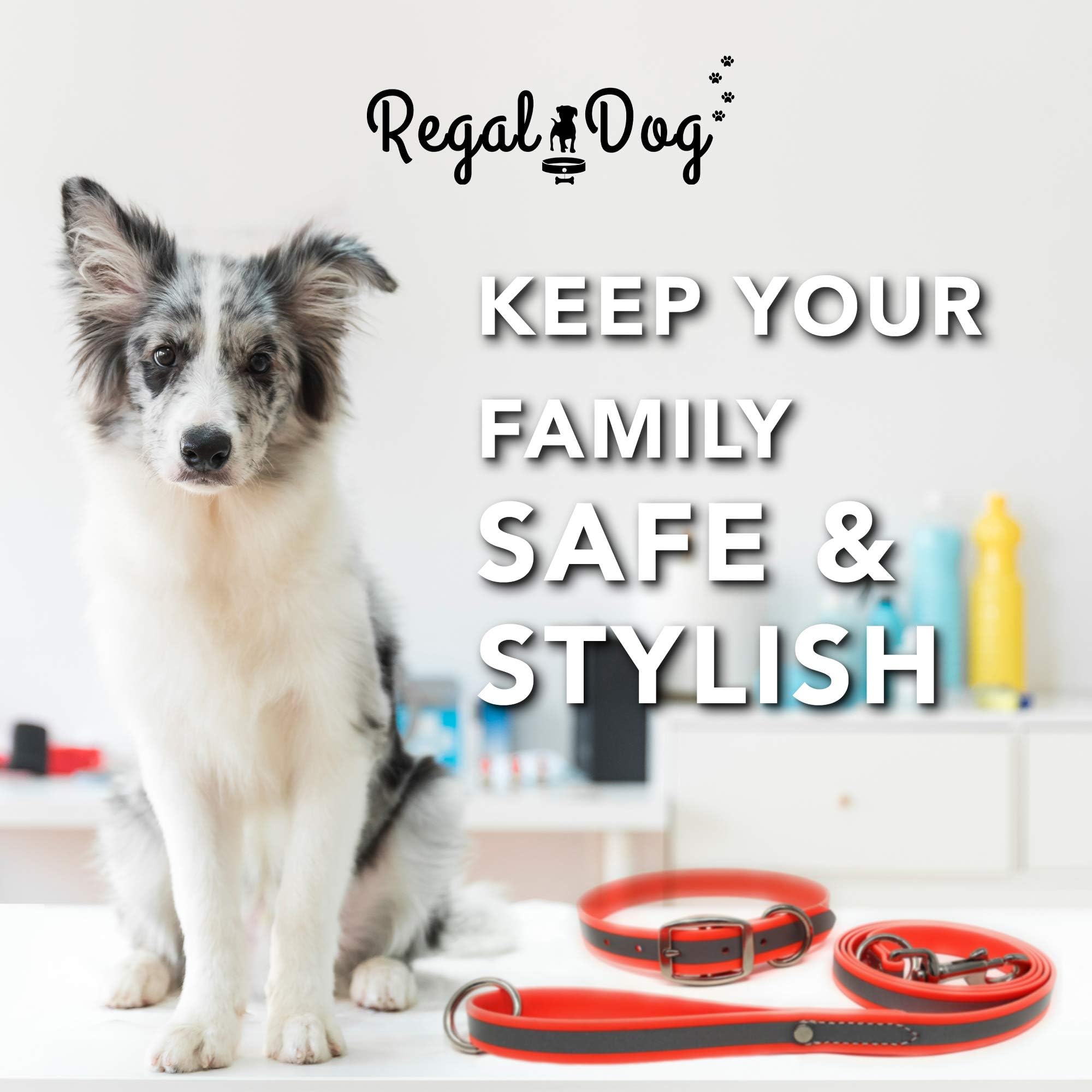 Regal Dog Products Small Orange Reflective Dog Collar And Leash Set - Waterproof Biothane Dog Collar With Heavy Duty Double Buck