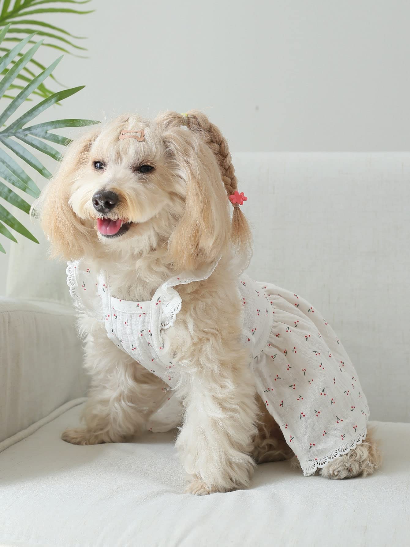 Qwinee Lace Trim Dog Dress Apparel Cherry Print Cat Puppy Skirts Cute Pet Tutu Breathable Summer Birthday Holiday Dress For Smal