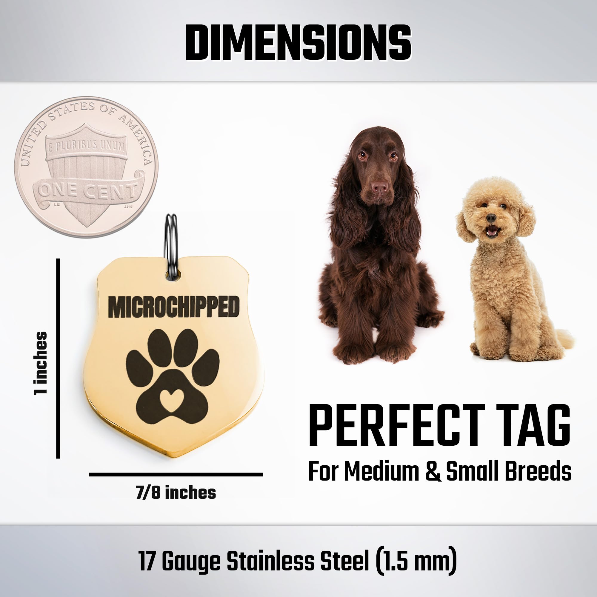 Universal Pet Tag Microchipped Pet Notation Fits All Collar Types Tag Chip Tag For Pets Dog Collar Gift Chip Id (Badge_Golden)