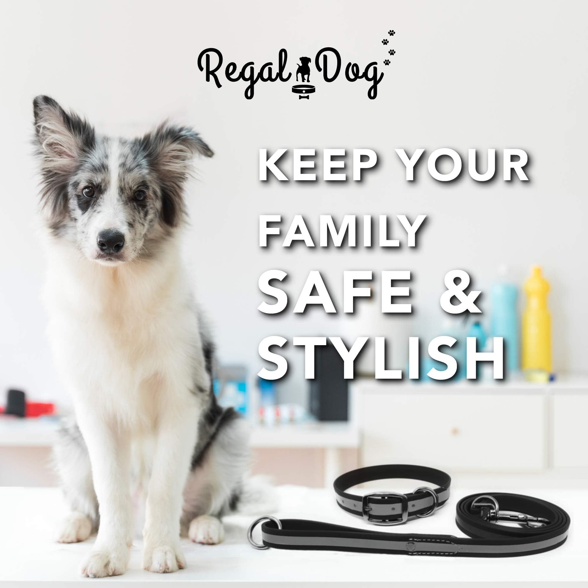 Regal Dog Products Medium Black Reflective Dog Collar And Leash Set - Waterproof Biothane Dog Collar With Heavy Duty Double Buck