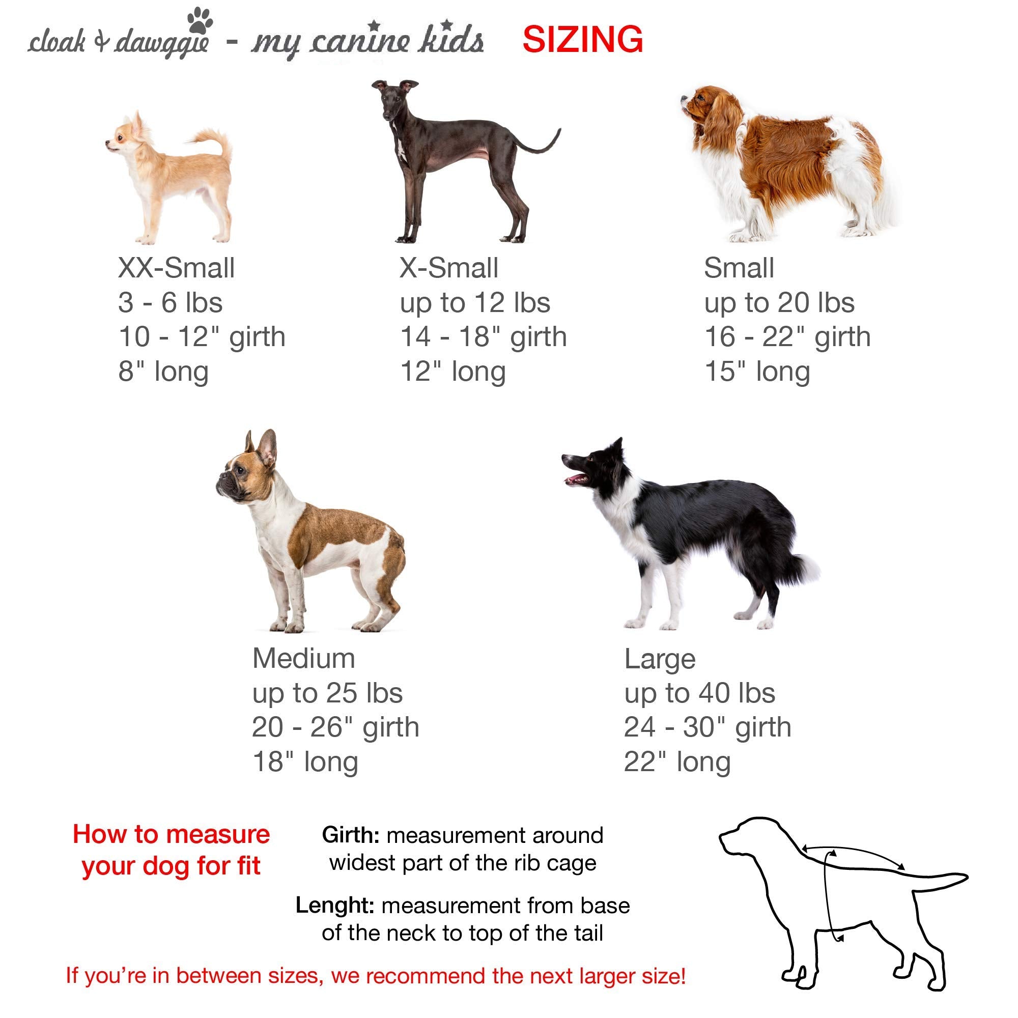 My Canine Kids Precision Fit Nylon Step-In Adjustable Dog Harness In Teacup To 40 Lbs Vest Easy On Adjustable Xxxsmall Toy Puppies To Large Soft Walking Doggy Wrap Vest (1101)(Small - Royal)