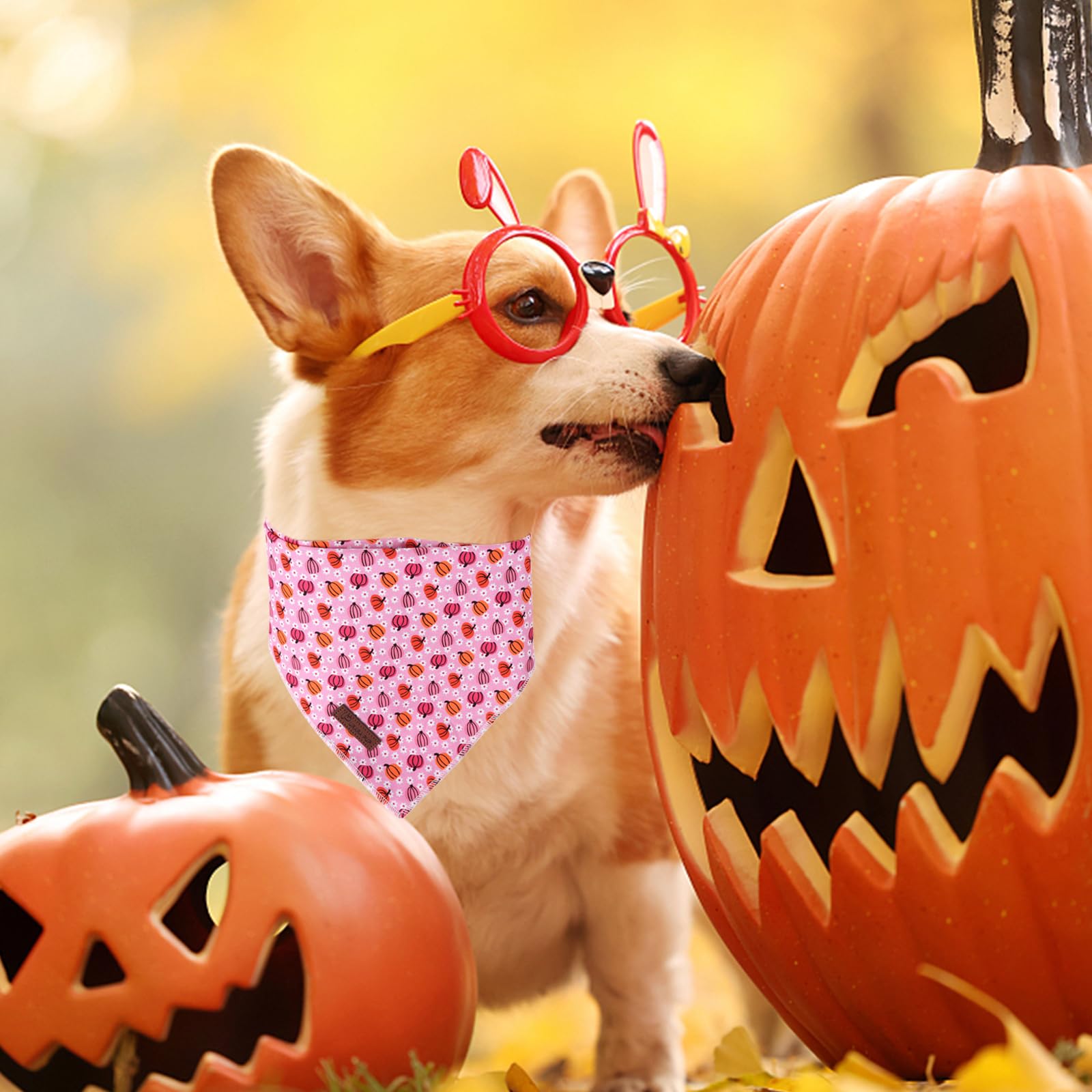 Halloween Pumpkin Dog Bandana, Halloween Triangle Bid Scarf With Pumpkin Pattern, Cotton Pet Kerchief For Girl Boy Dogs Or Cats,