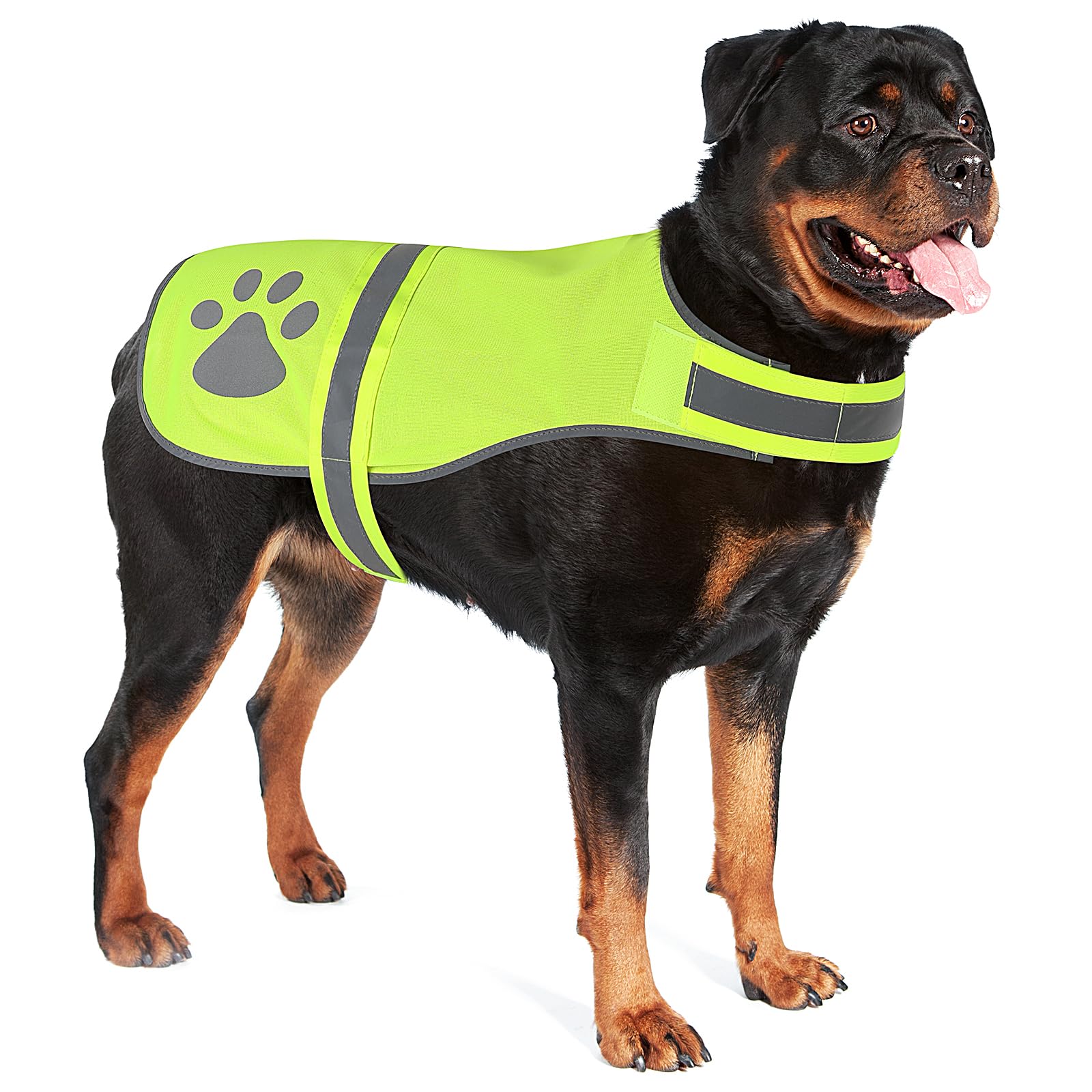 Candofly Safety Reflective Dog Vest High Visibility Pet Hunting Vest Lightweight Dog Jacket For Night Walking Hunting Camping (N