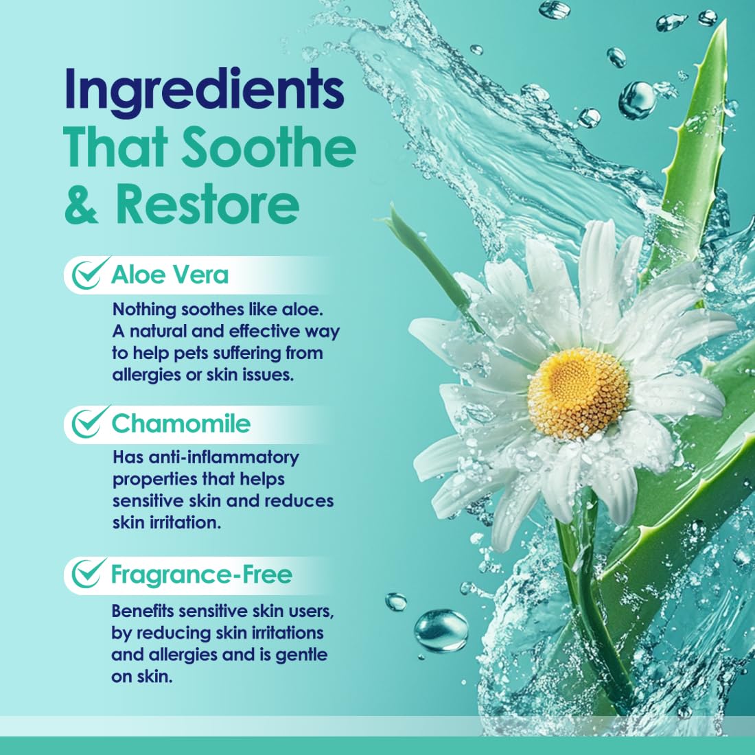 2-In-1 Dog Shampoo And Conditioner With Soothing Aloe Vera & Chamomile, Sensitive Skin, Fragrance-Free, Hypoallergenic Formula P