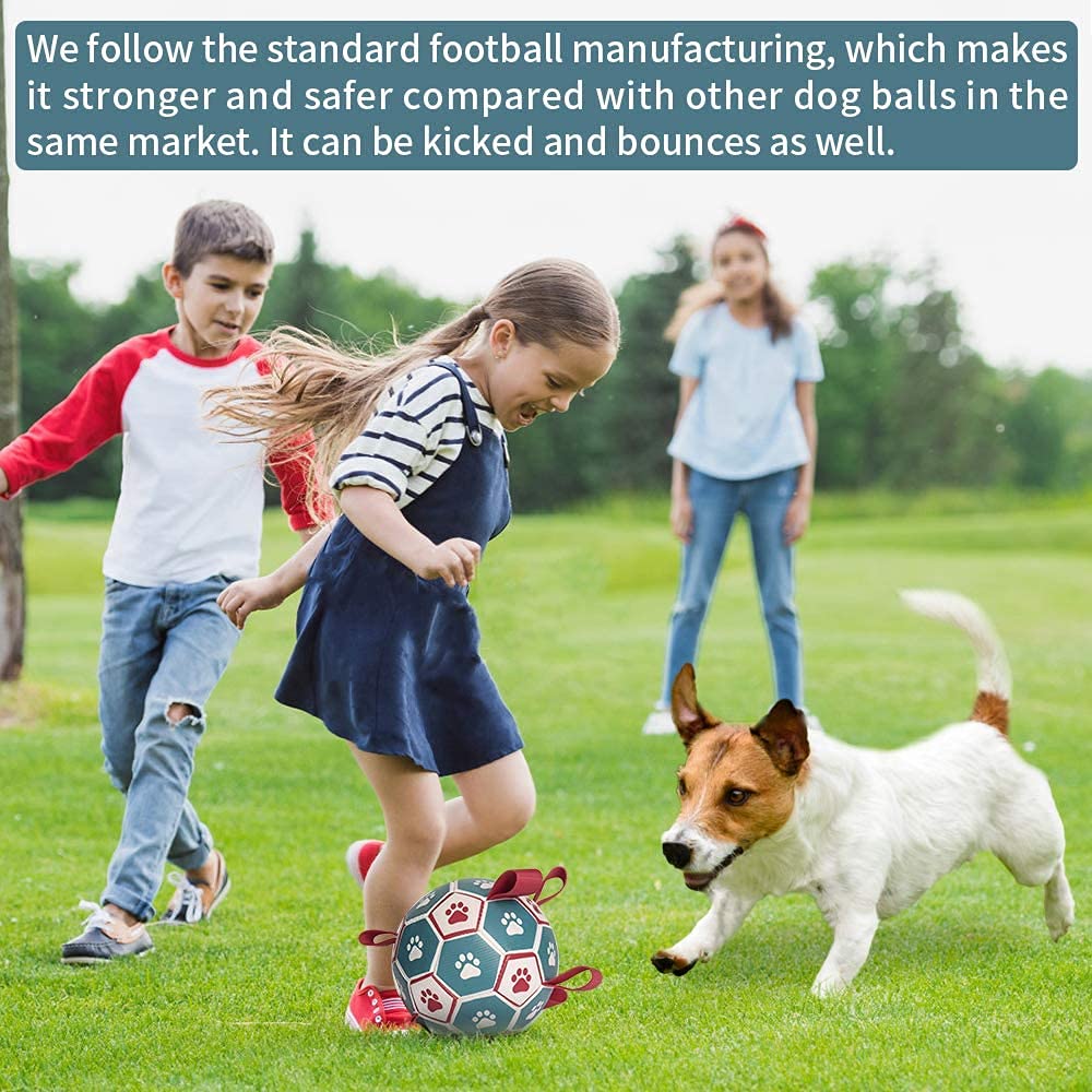 QDAN Interactive Dog Toys Basketball - Tug of War Toy for Small & Medium Dogs, 6 Inch, C-Dog Basketball, Durable Design