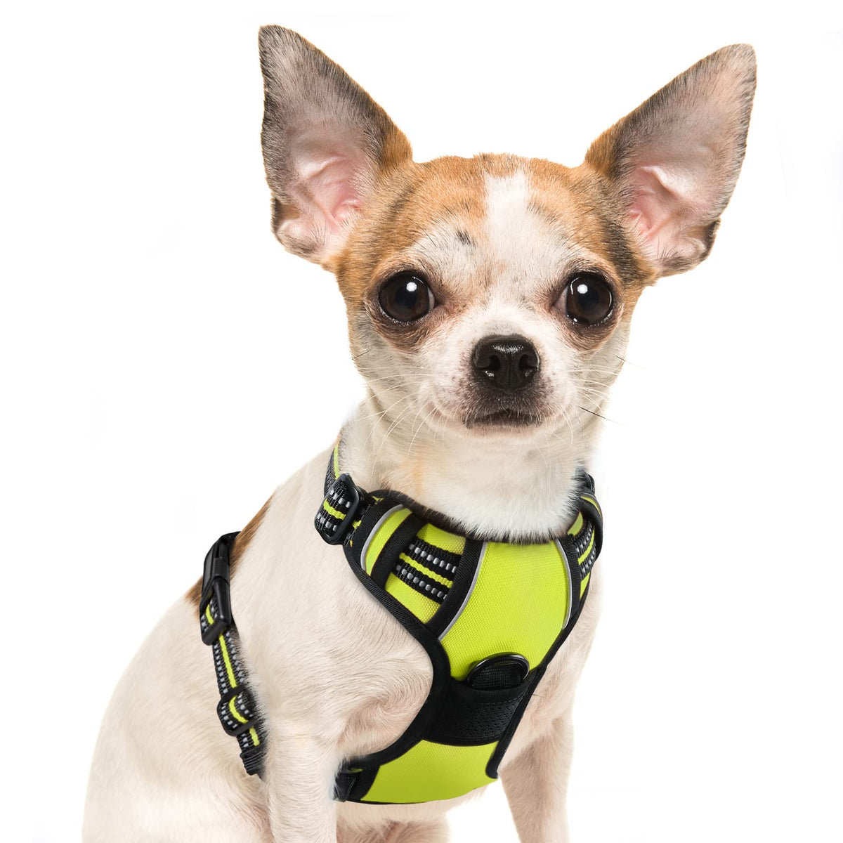 Eagloo Dog Harness Small Sized Dog, No Pull Service Vest With Reflective Strips And Control Handle, Adjustable And Comfortable For Easy Walking, No Choke Pet Harness With 2 Metal Rings, Green, S