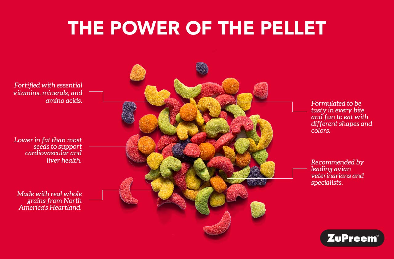 ZuPreem FruitBlend Flavor Pellets Bird Food for Medium Birds, 2 lb (Pack of 2) - Daily Blend Made in USA for Cockatiels, Quakers