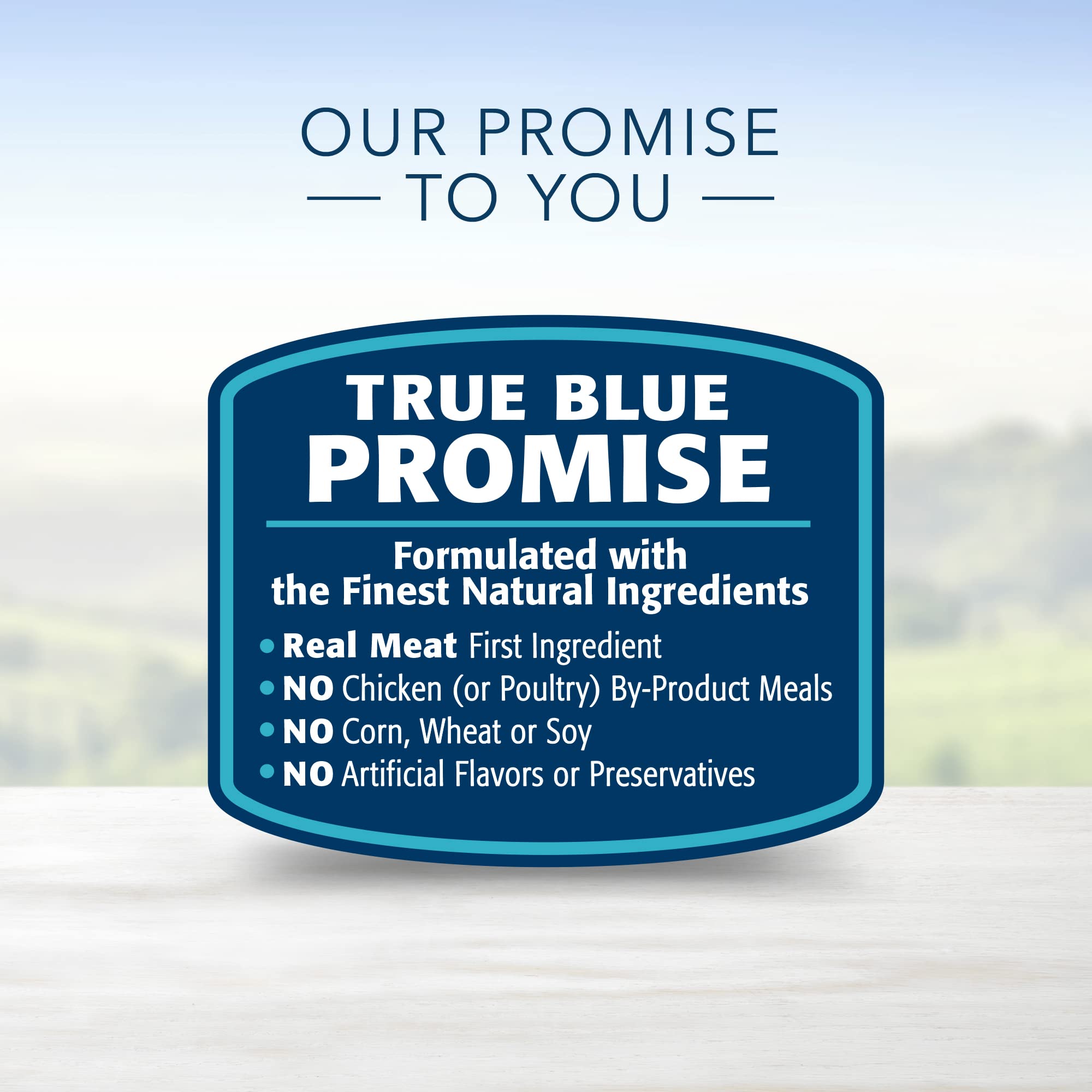 Blue Buffalo Blues Stew Natural Wet Dog Food, Made with Natural Ingredients, Hearty Beef and Country Chicken Variety Pack, 12.5