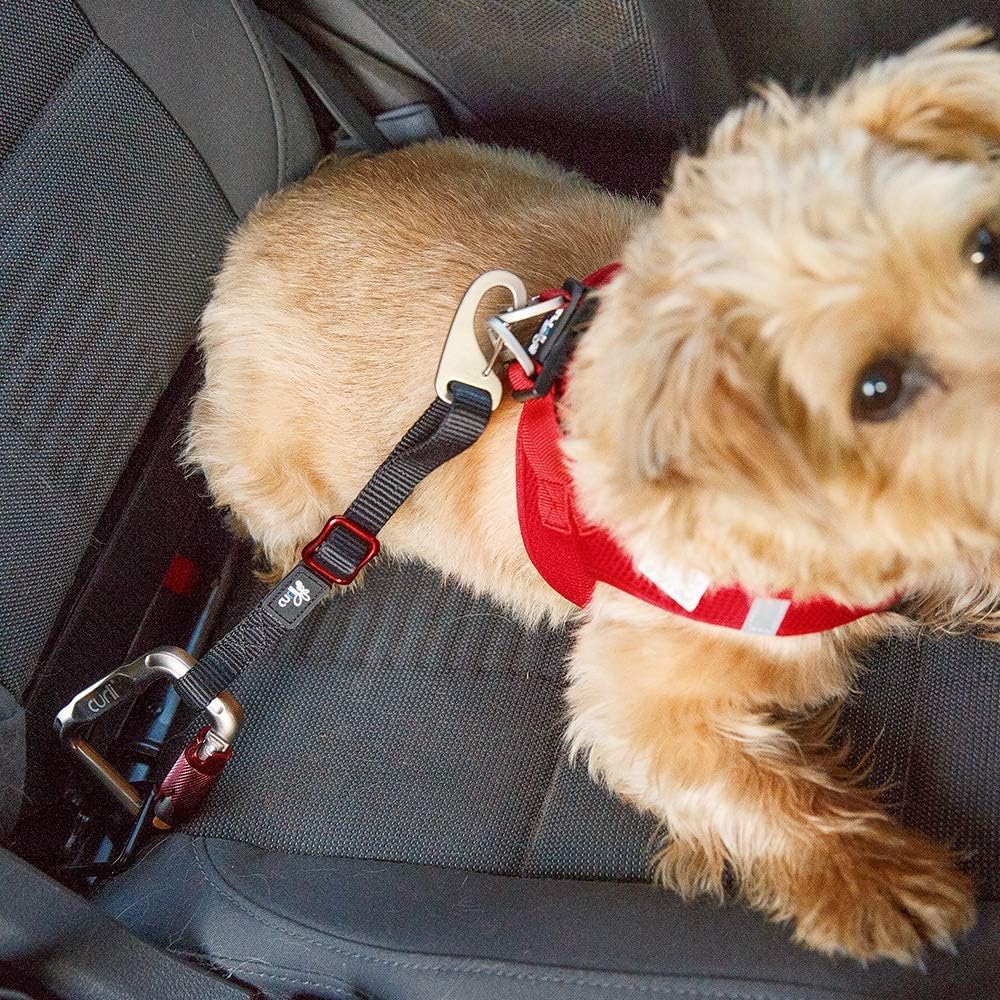 Curli Car Safety Belt Dog Car Seat Belts Nylon Extra Strong Adjustable Length Car Seat Belt For Dogs 23.6 Inch