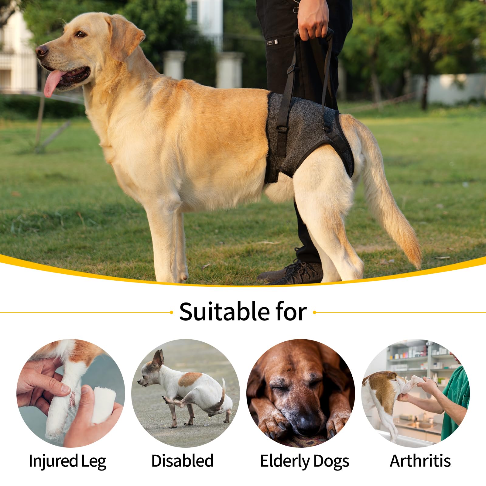 HEYWEAN Dog Sling for Large Dogs - Grey Nylon Hind Leg Support Harness, Model Dog-Sling-II, Ideal for Elderly & Injured Dogs
