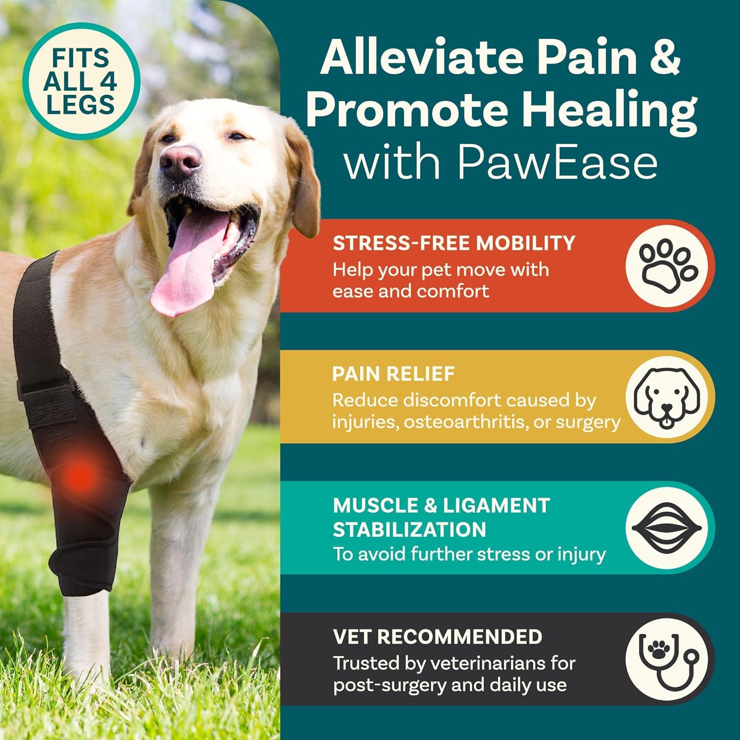 Dog Knee Brace, Dog Knee Brace for Torn Acl Hind Leg, Dog Leg Braces for Back Leg, Size Small, Dog Acl Brace Hind Leg, Acl Brace