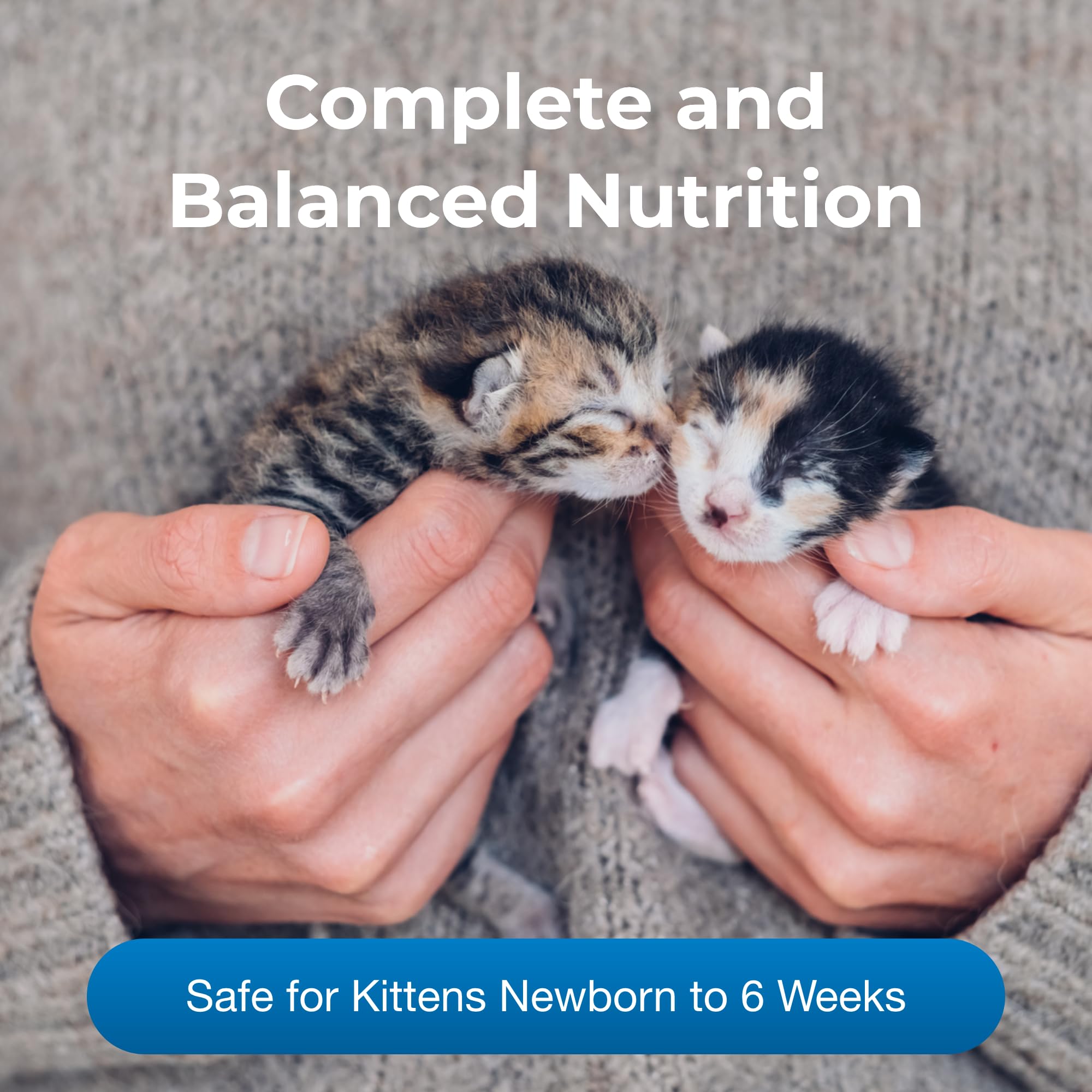 PetAg KMR Kitten Milk Replacer Powder - 28 oz - Powdered Kitten Formula with Prebiotics, Probiotics & Vitamins for Kittens Newbo