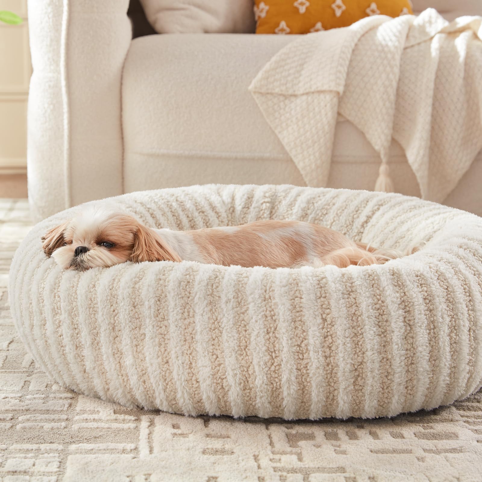 MIXJOY Dog Beds for Small Dogs, Washable Dog Bed with Removable Cover, Small Cat Bed for Indoor Cats, Calming Soft Dount Pet Bed