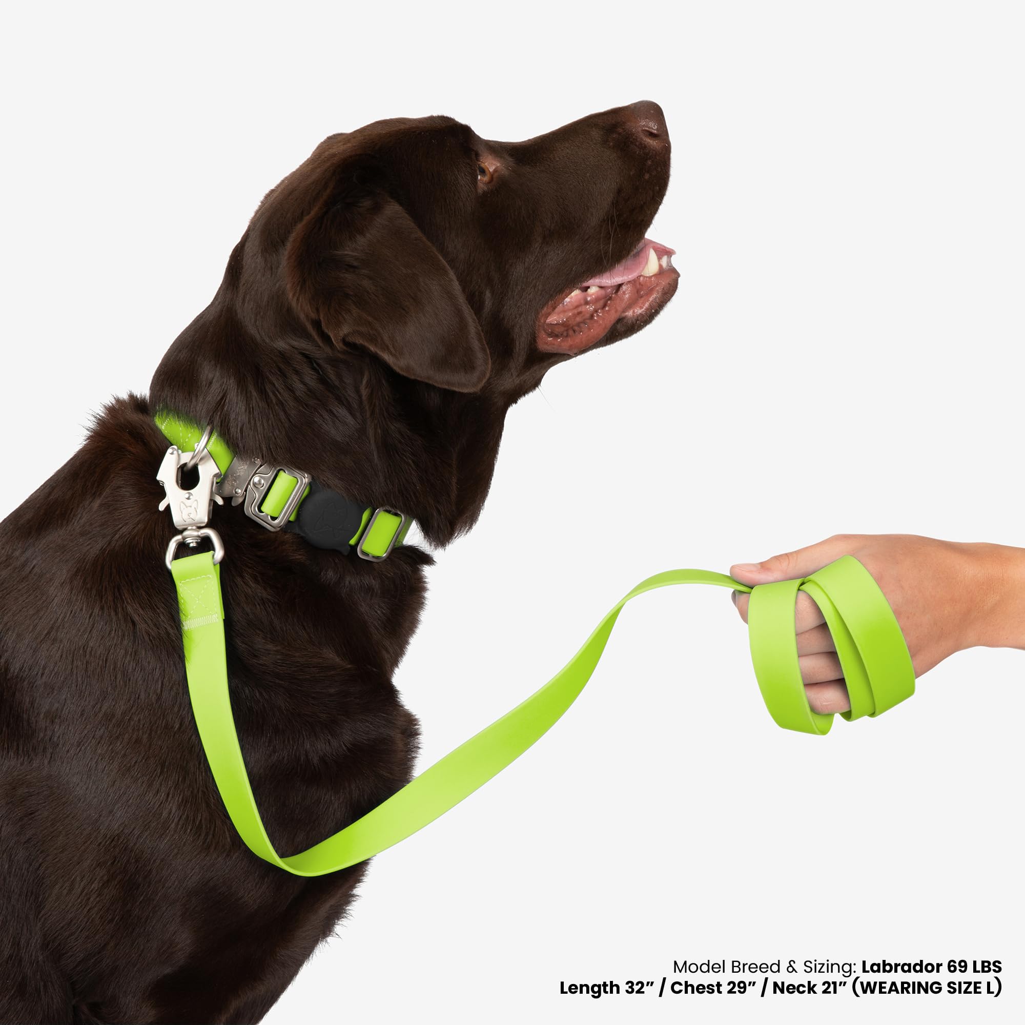 Nandog The Signature Collection Waterproof Poly-Flex Sport Dog Collar In Medium, Neon Green - Durable & Adjustable Design - Comf
