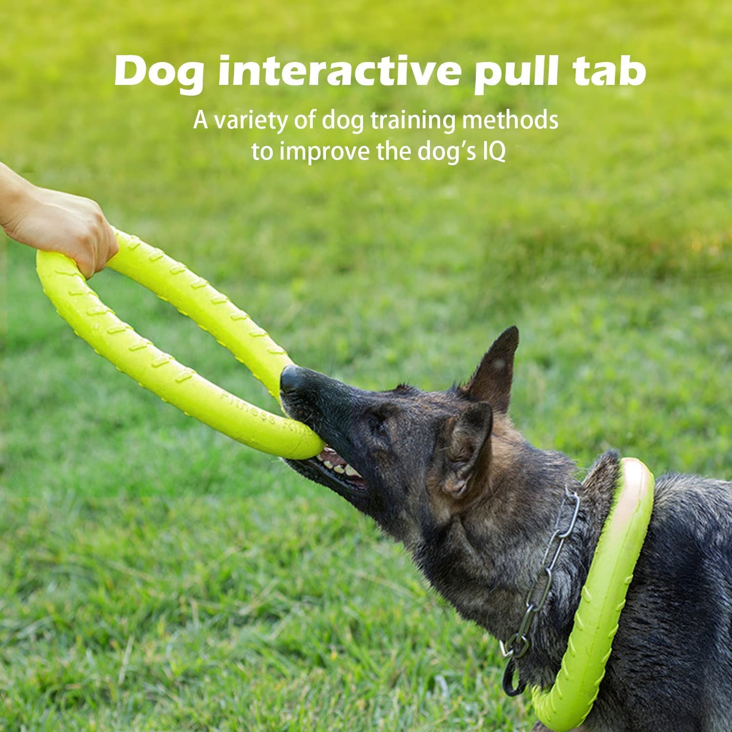 Dlder Large Dog Durable Indestructible Floating Flying Disc Ring Toys For Chewers,Pool Swimming,Throwing,Catching,Grabbing Pitch