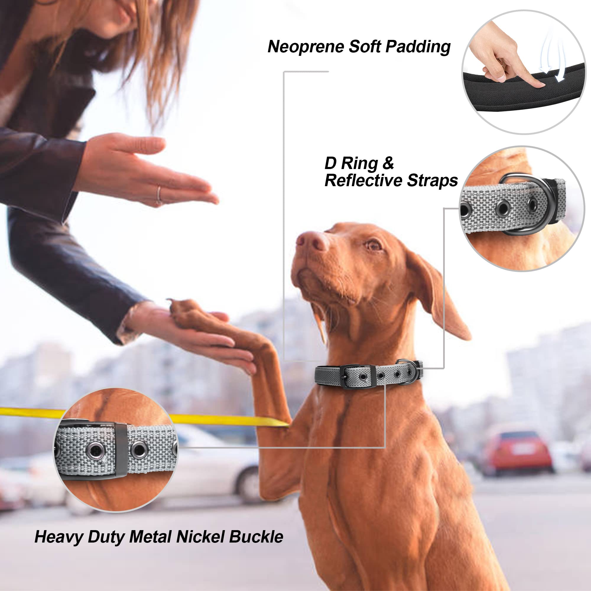 Petifine Neoprene Padded Dog Collar, Heavy Duty Comfort Dog Collar With Durable Metal Buckle, Reflective Adjustable Belt Buckle Dog Collars For Small Medium Large Dogs(11?14.5? Grey)