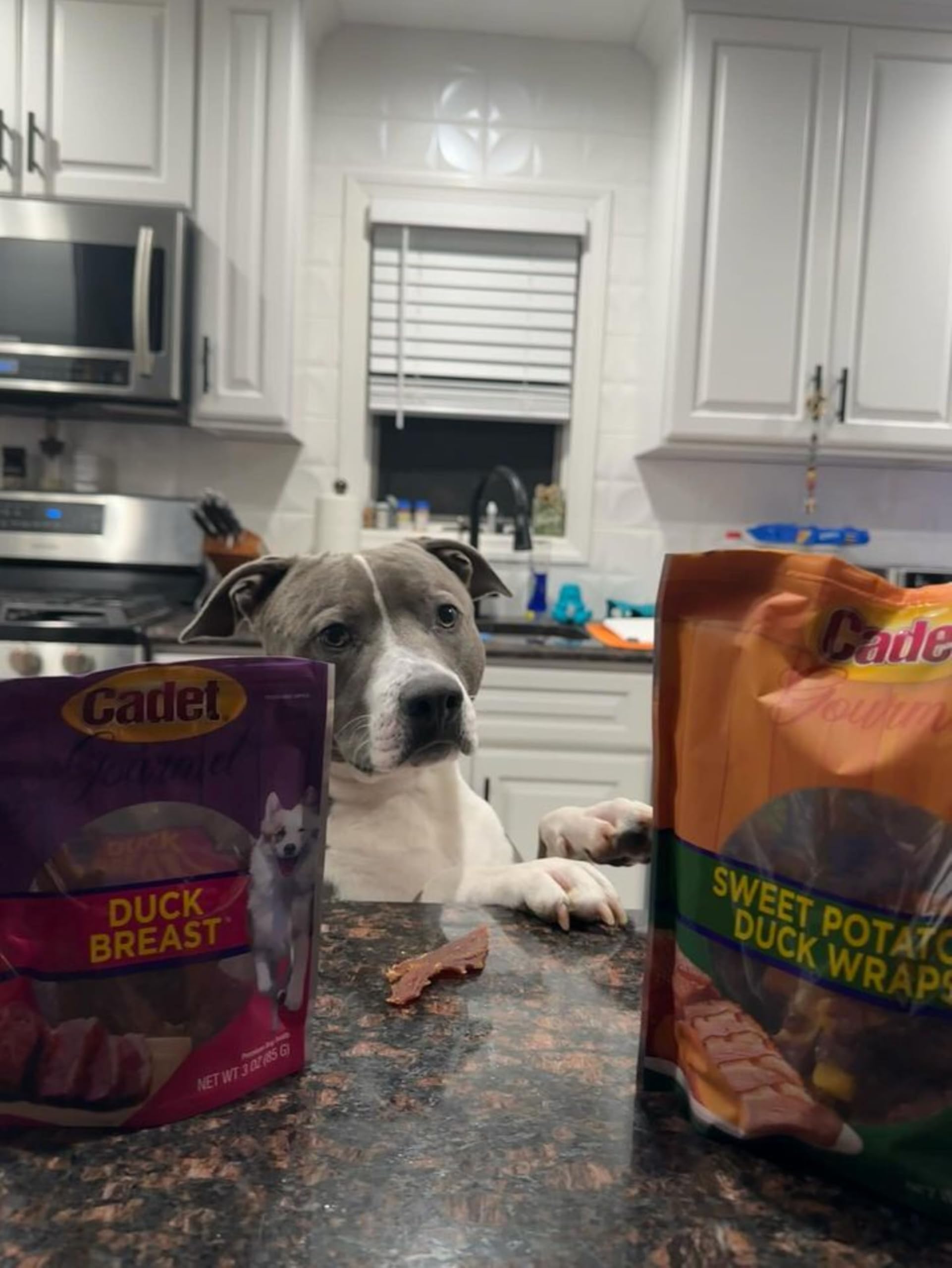 Cadet Gourmet Sweet Potato & Duck Wraps Dog Treats - Healthy & Natural Duck & Sweet Potato Dog Training Treats for Small & Large