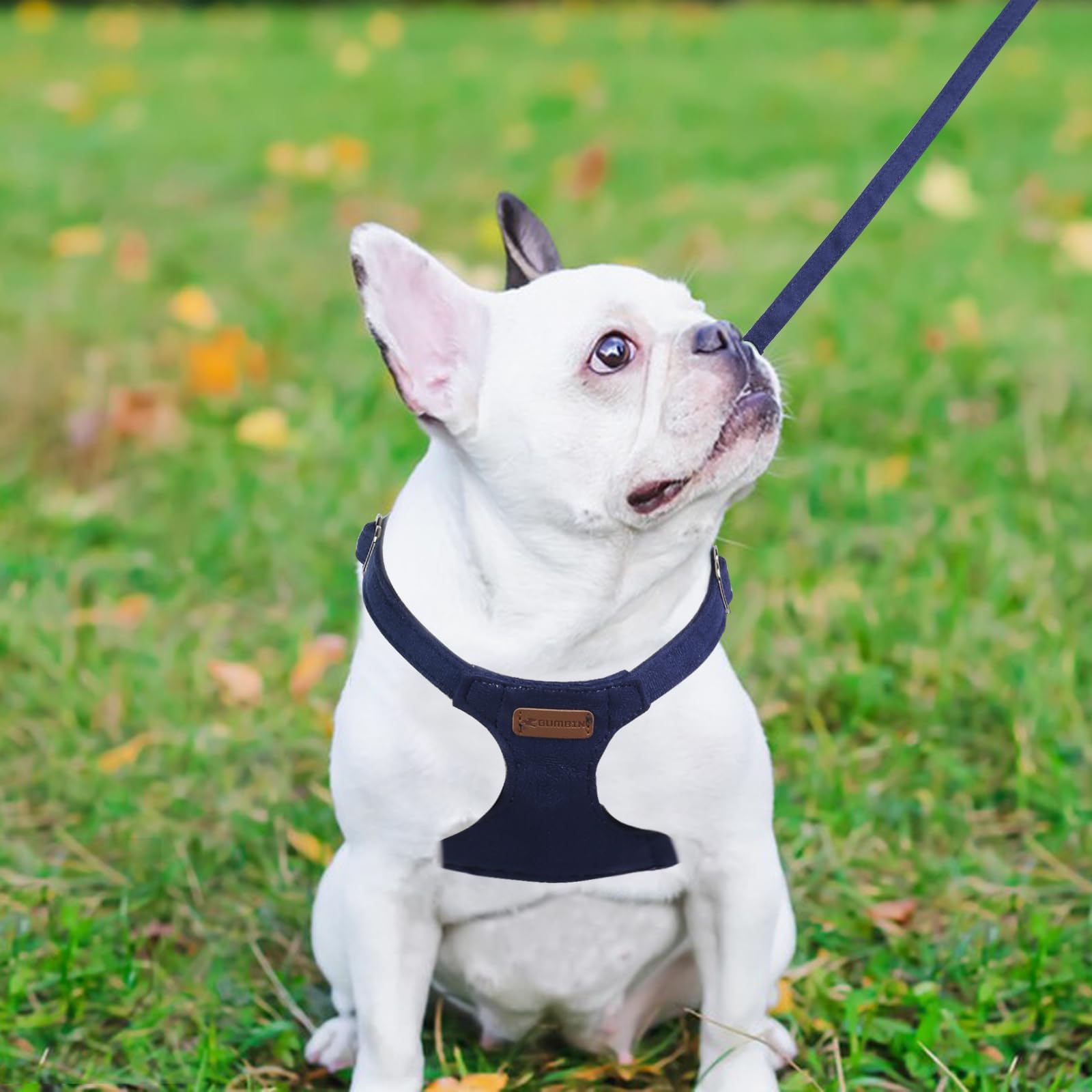 Dog Harness And Leash Set, S No Pull Adjustable Puppy Harness With Multifunction Denim Blue Dog Leash And Collar, Soft No Choke