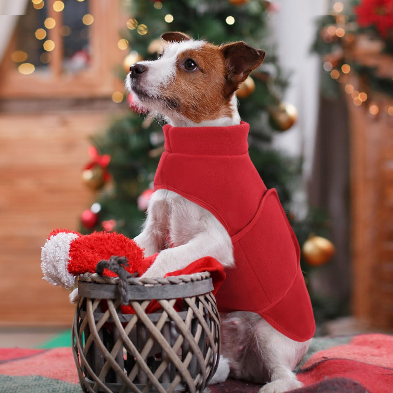 Queenmore Medium Dog Sweaters, Soft Fleece Vest Pullover Dog Jacket with Leash Hole, Warm Winter Dog Clothes Cold Weather Doggy