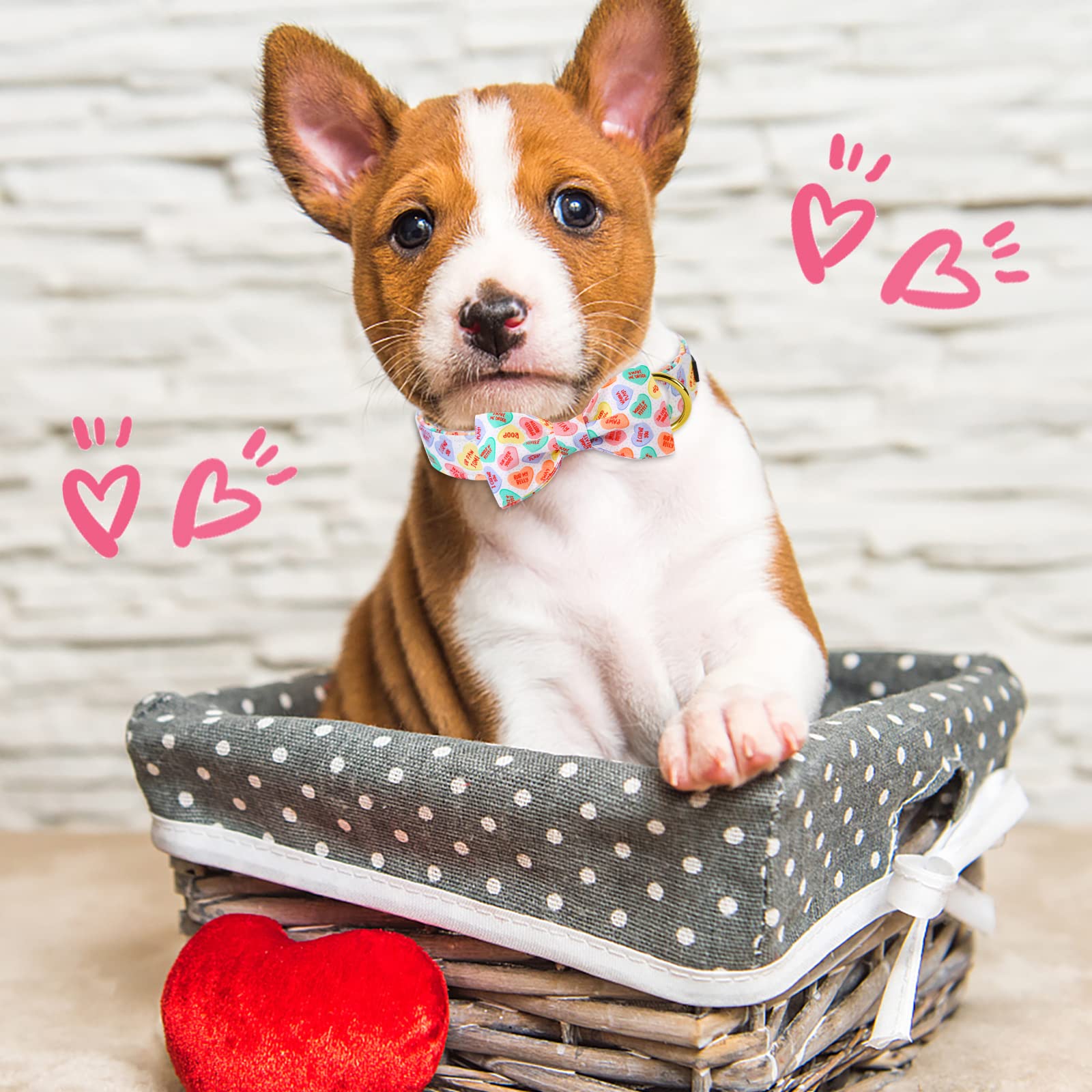 ARING PET Valentine 's Dog Collar-Cute Heart Dog Collar with Bow, Adjustable Bowtie Dog Collar Pet Collars with Metal Buckle