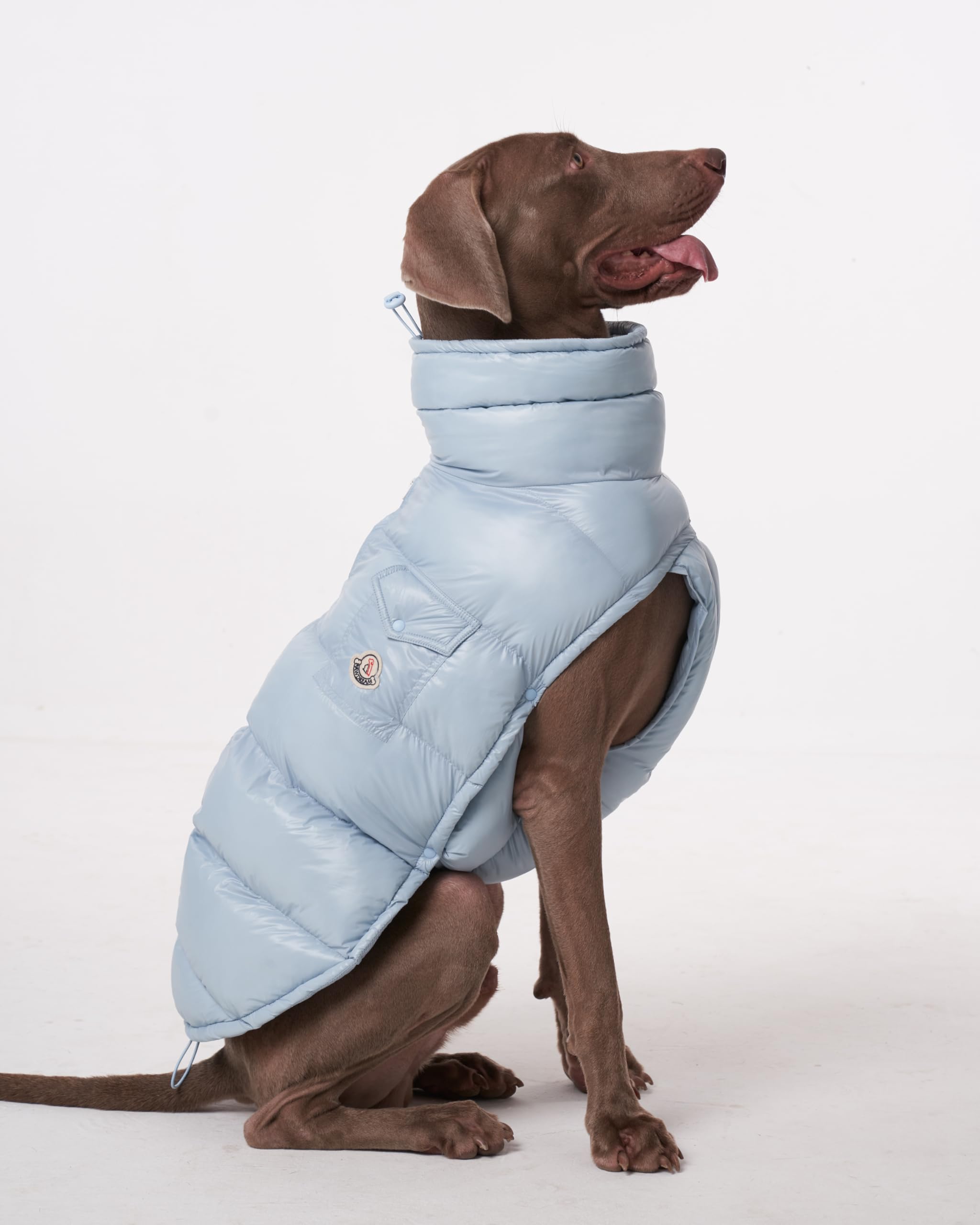 Chochocho Winter Dog Jacket, Cold Weather Coats, Lightweight, Thermal Insulated, Water-Resistant, Adjustable Dogs Jackets With L