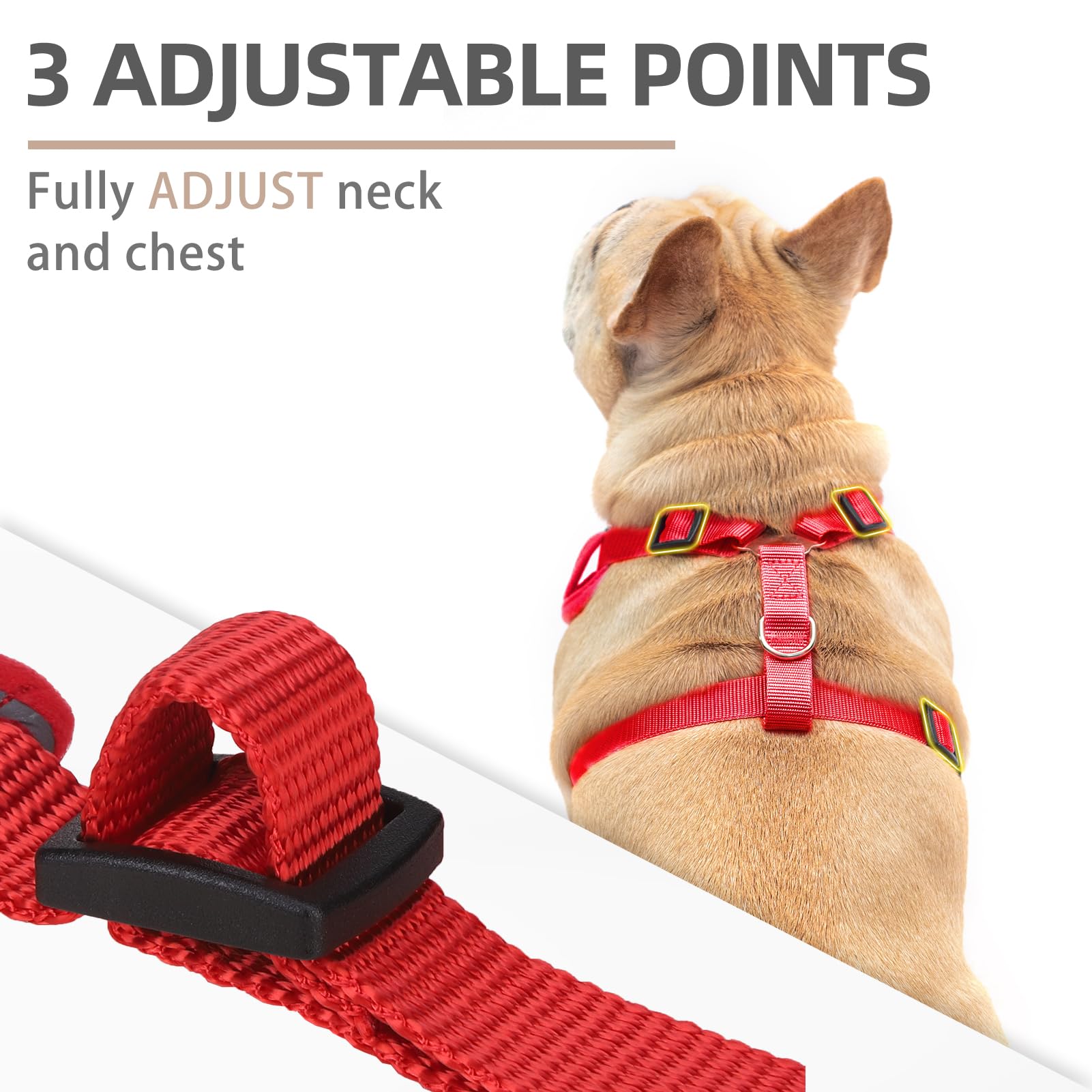 Pupteck Dog Harness And Leash Set For Small Medium Dogs No Pull, Soft Mesh Adjustable Puppy Cat Harness Reflective At Night, Red