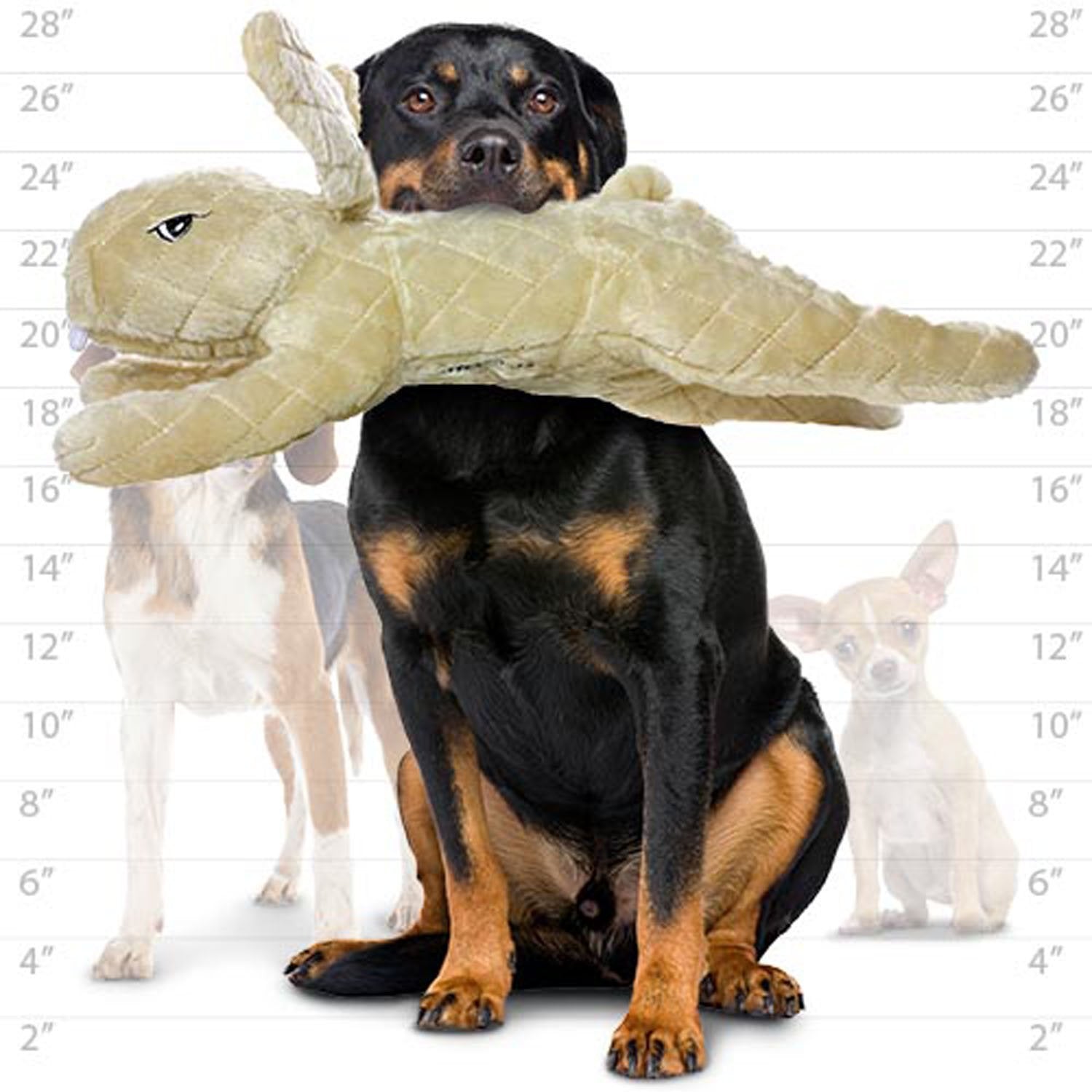 Mighty- Massive-Nature-Rabbit- Squeaker-Multiple Layers. Made Durable, Strong & Tough. Interactive Play Dog Toy (Tug, Toss & Fet